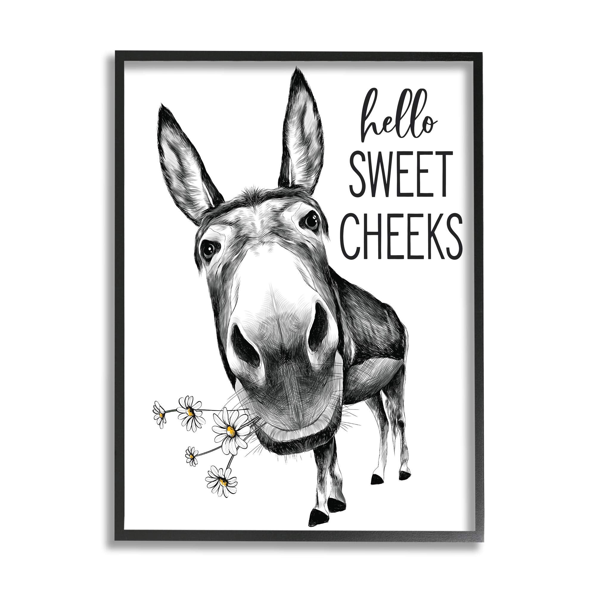 Stupell Industries Hello Sweet Cheeks Animal Humor Donkey Daisies, Designed By Lettered And Lined Black Framed Wall Art, 16 X 20