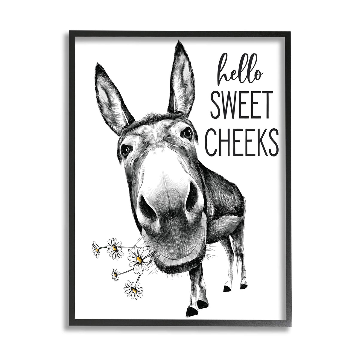 Stupell Industries Hello Sweet Cheeks Animal Humor Donkey Daisies, Designed By Lettered And Lined Black Framed Wall Art, 16 X 20