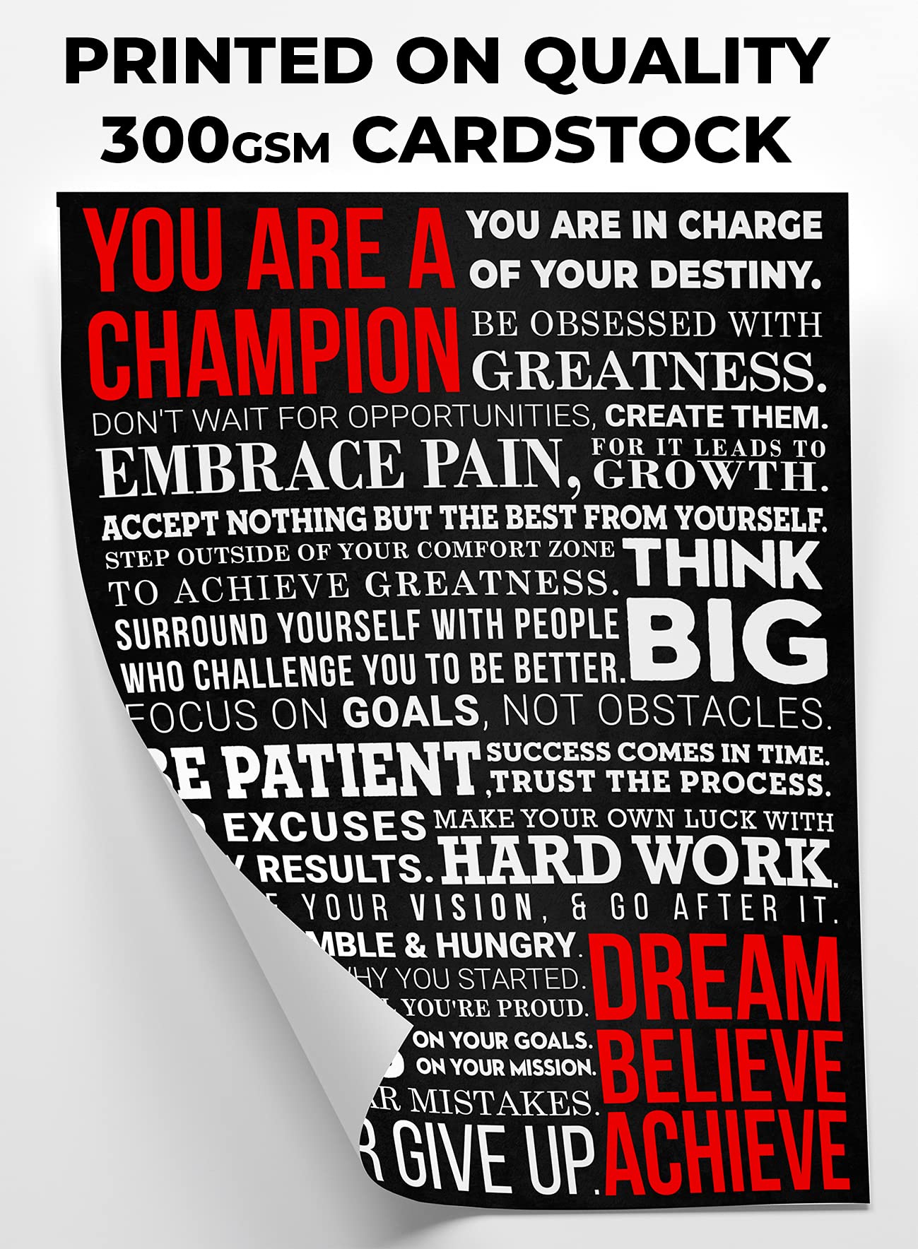 Honeykick A Champion'S Mantra Motivational Poster - 12 X 16 Inch Cardstock Print - Inspirational Wall Art D  Cor For Bedroom, Of