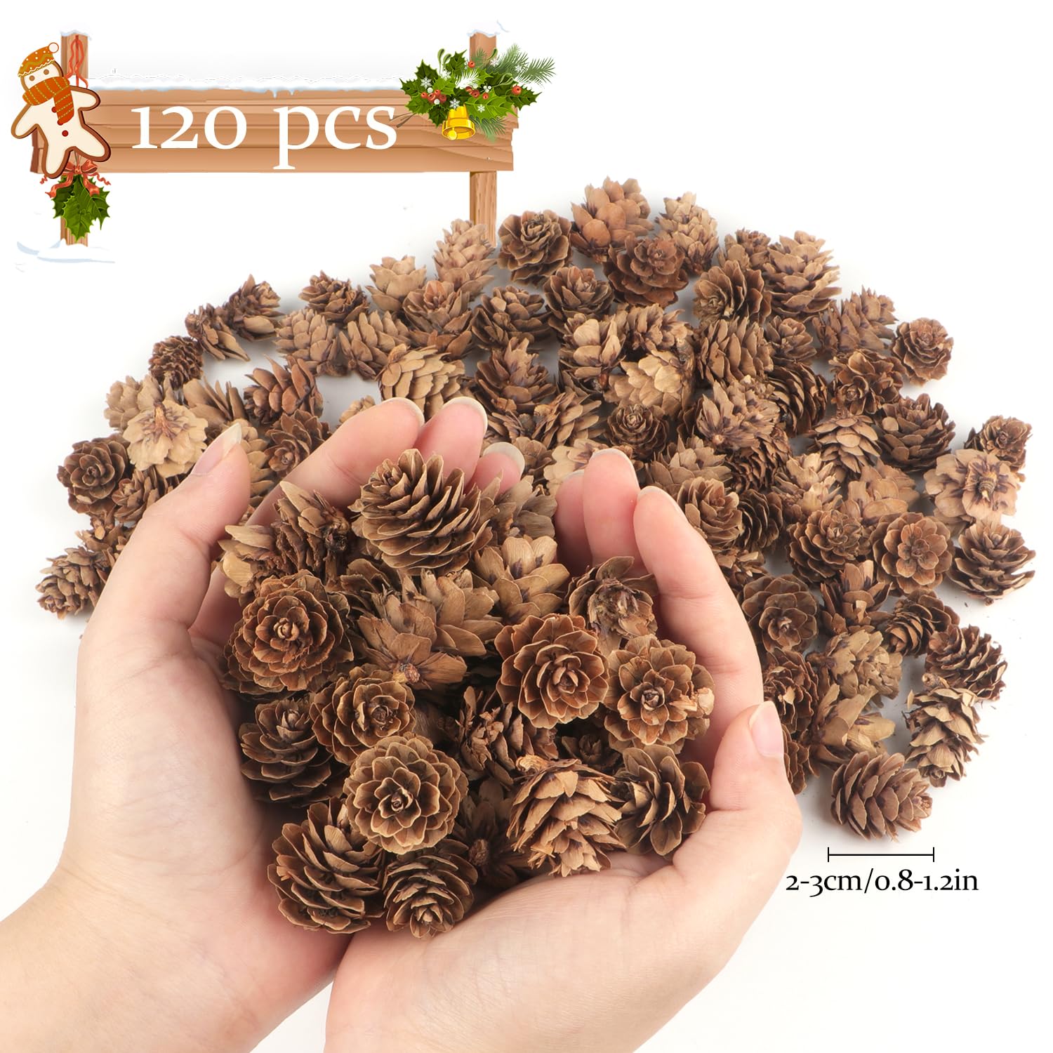 Jangostor 120 PCS Pine Cones Decorations, Natural Pine Cones Bulk - Mini Pine Cones Christmas Pine Cones for Table Christmas Tre