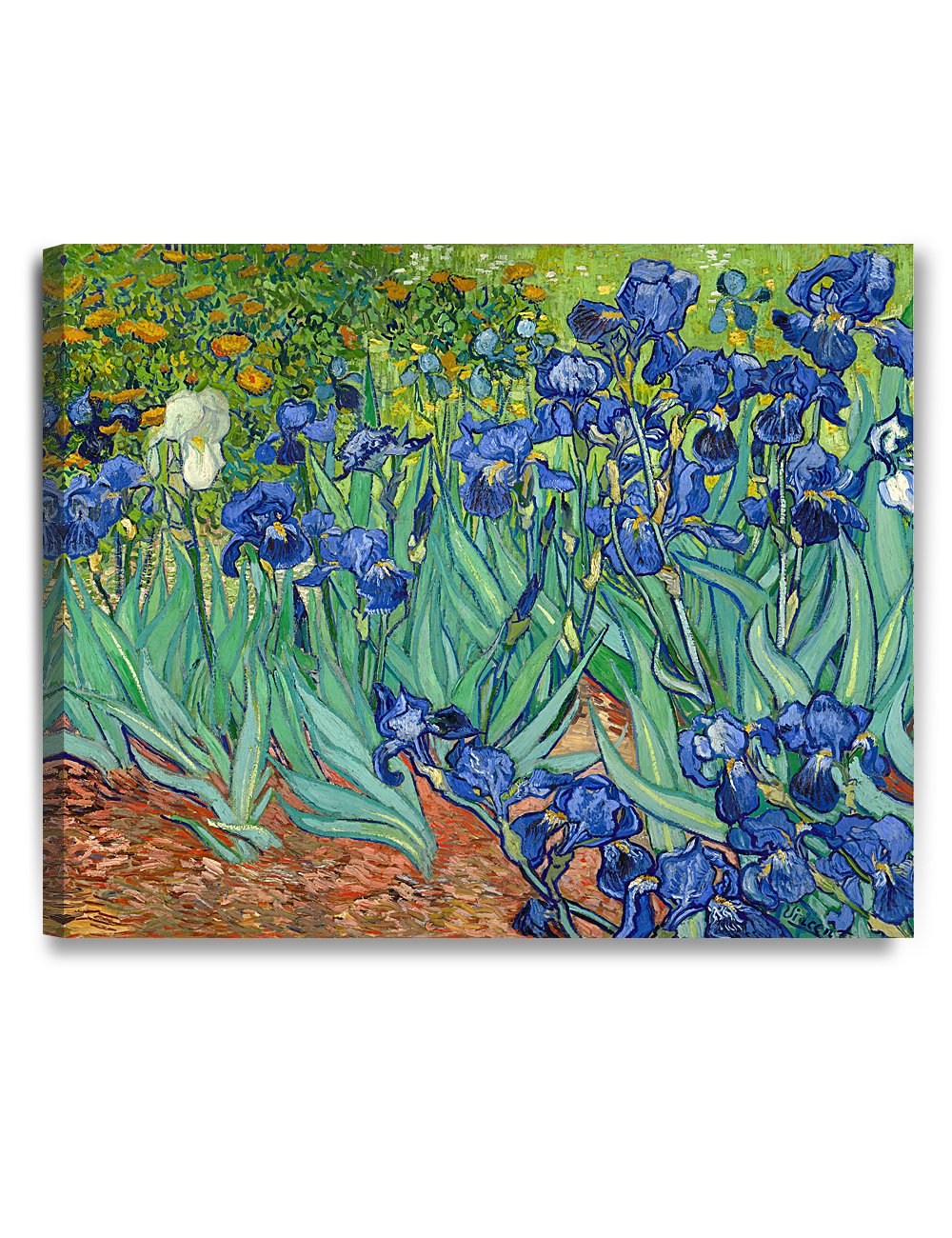 Decorarts - Irises In The Garden, Vincent Van Gogh Reproductions. Giclee Canvas Print Wall Art For Home Wall Decor. 30X24X1.5 In