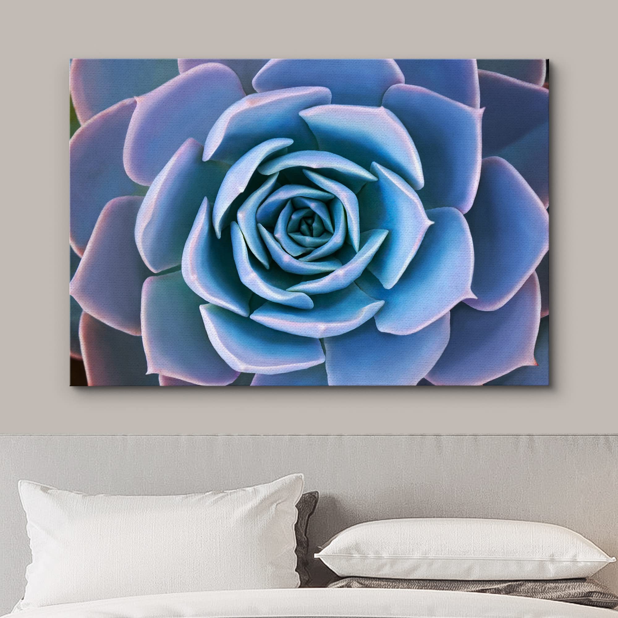 Wall26 Canvas Print Wall Art Blue Purple Desert Echeveria Succulent Nature Floral Photography Realism Botanical Wilderness Zen R
