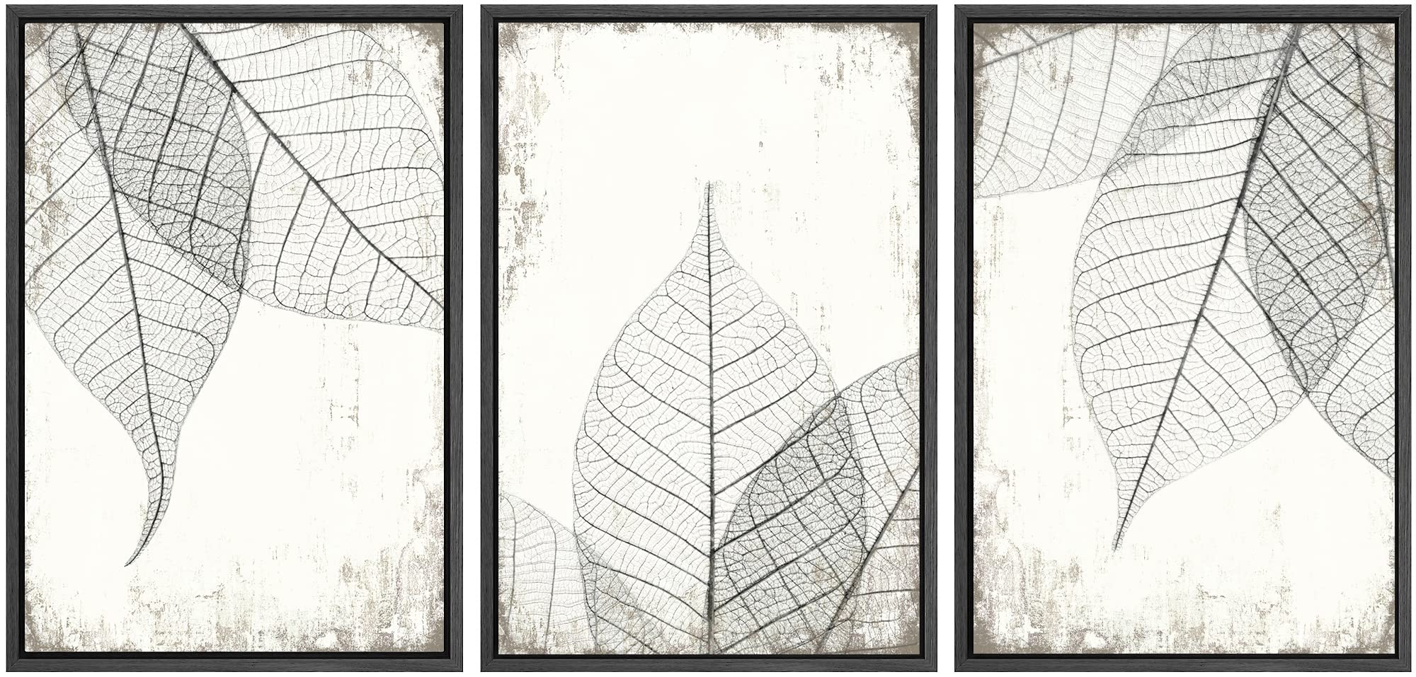 Signwin Framed Canvas Print Wall Art Set Black White Transparent Leaf Collage Nature Wilderness Illustrations Modern Art Rustic