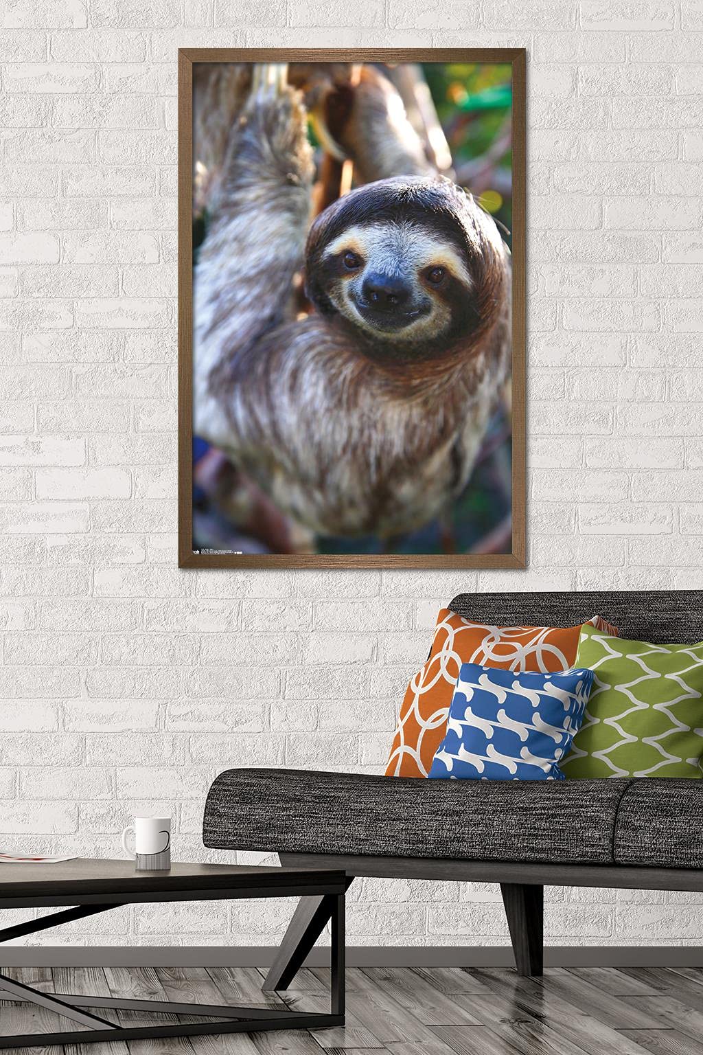 Trends International Sloth - Smile Wall Poster, 22.375'' X 34'', Bronze Framed Version