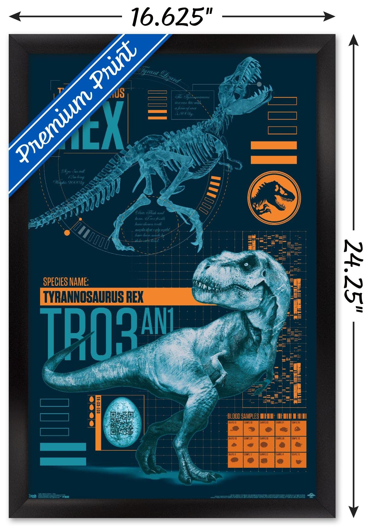 Trends International Jurassic World: Fallen Kingdom - T-Rex Wall Poster, 14.725'' X 22.375'', Black Framed Version