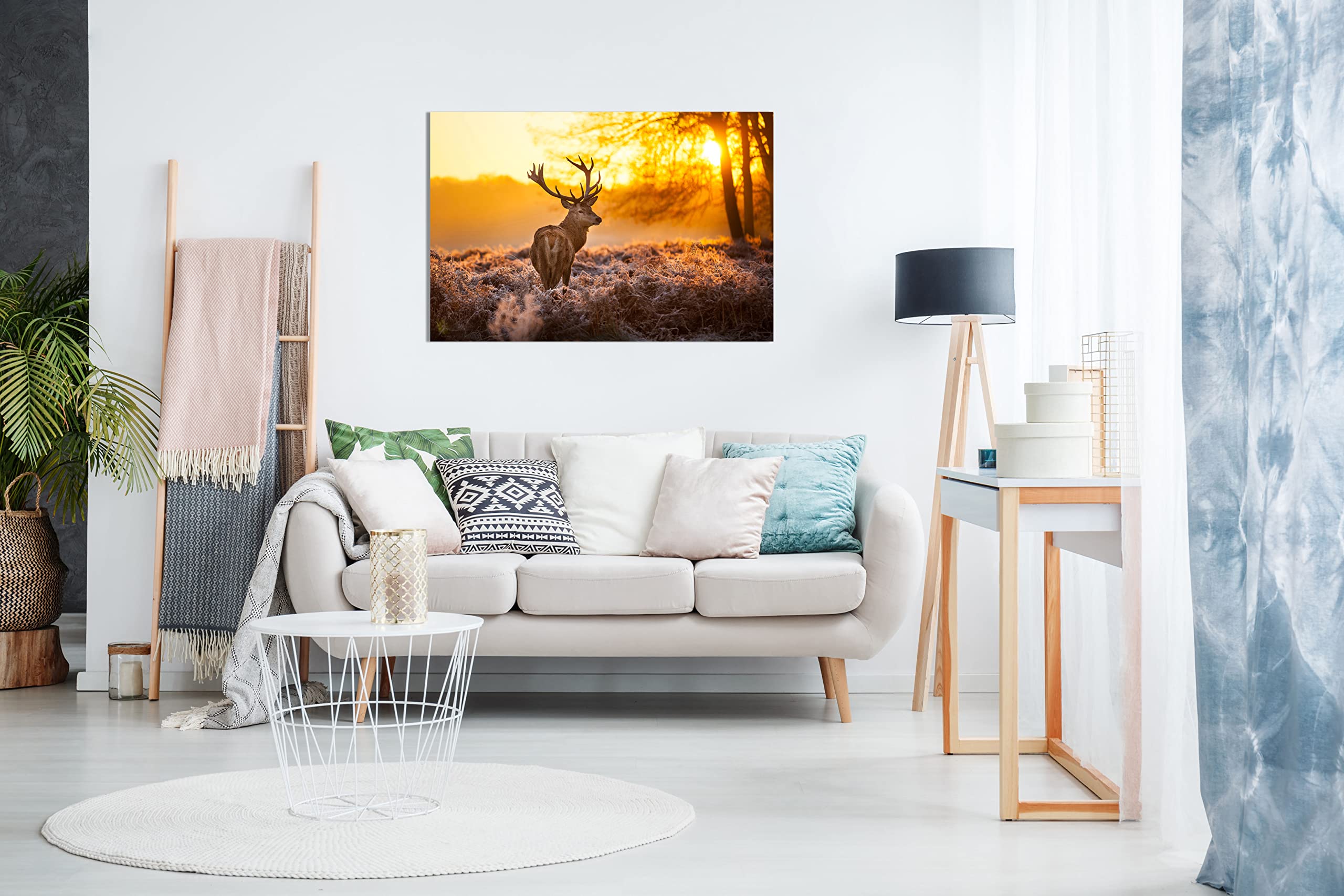 Panther Print, Animal Canvas Wall Art, Framed Hunting Pictures, Home Decoration Artwork, Red Deer In Morning Sun Canvas, Prints