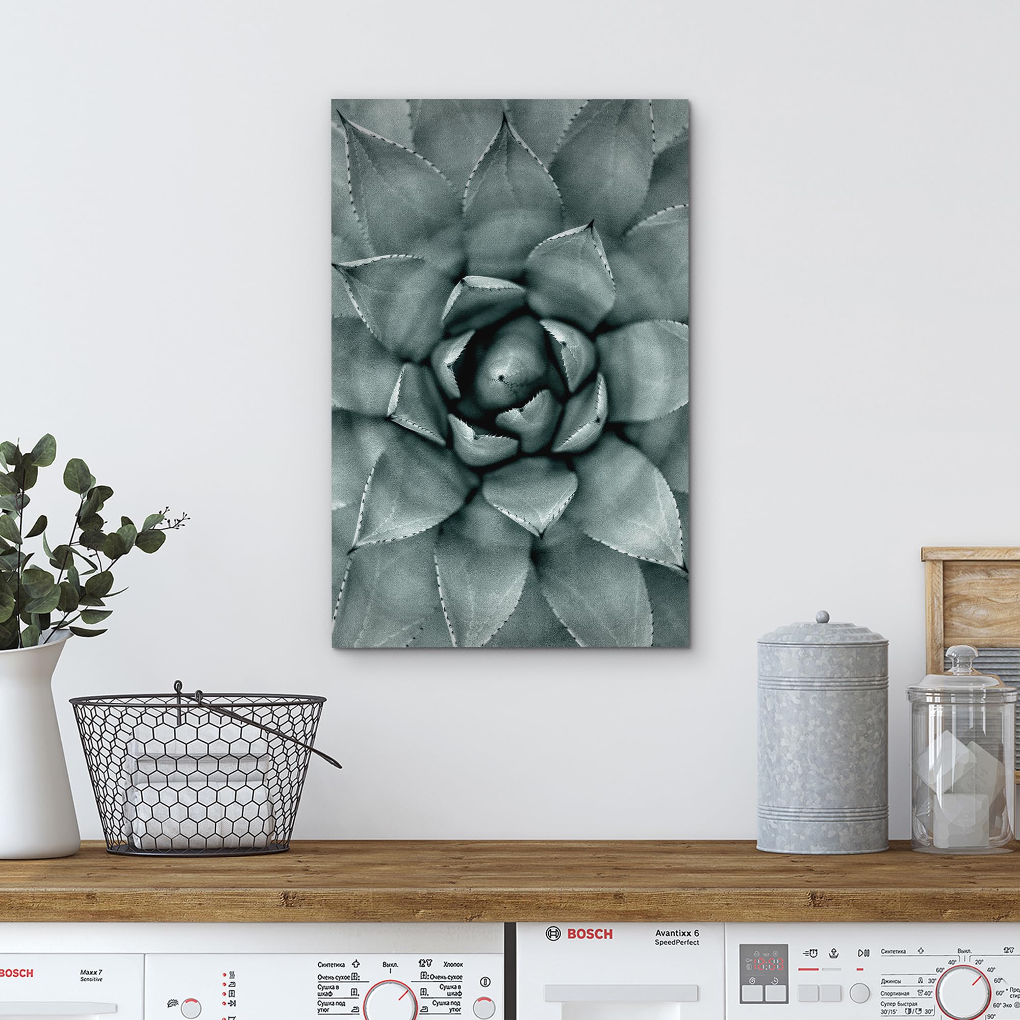 Wall26 Canvas Print Wall Art Monochrome Succulent Plant Chic Contemporary Botanical Nature Wilderness Photography Modern Art Dec