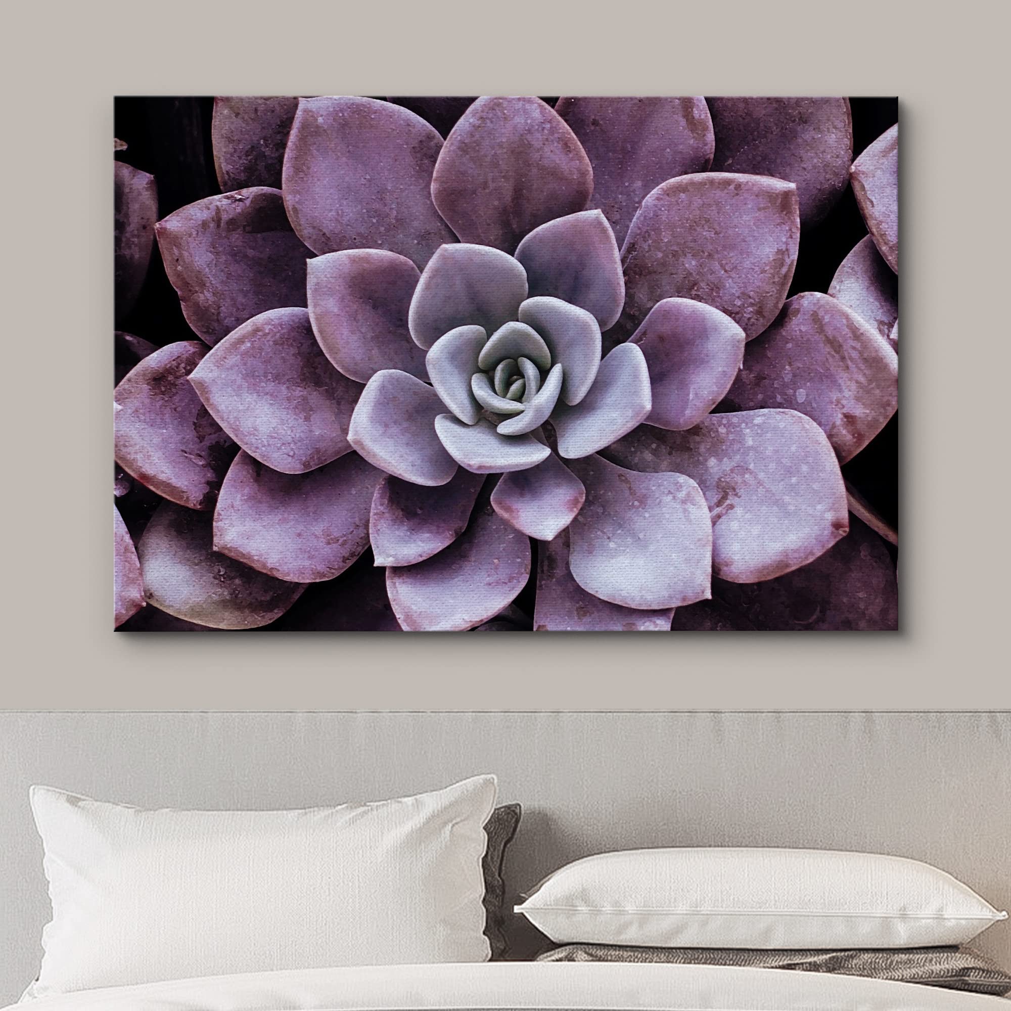 Wall26 Canvas Print Wall Art Closeup Of Blooming Purple Desert Succulent Floral Plants Photography Realism Rustic Scenic Colorfu