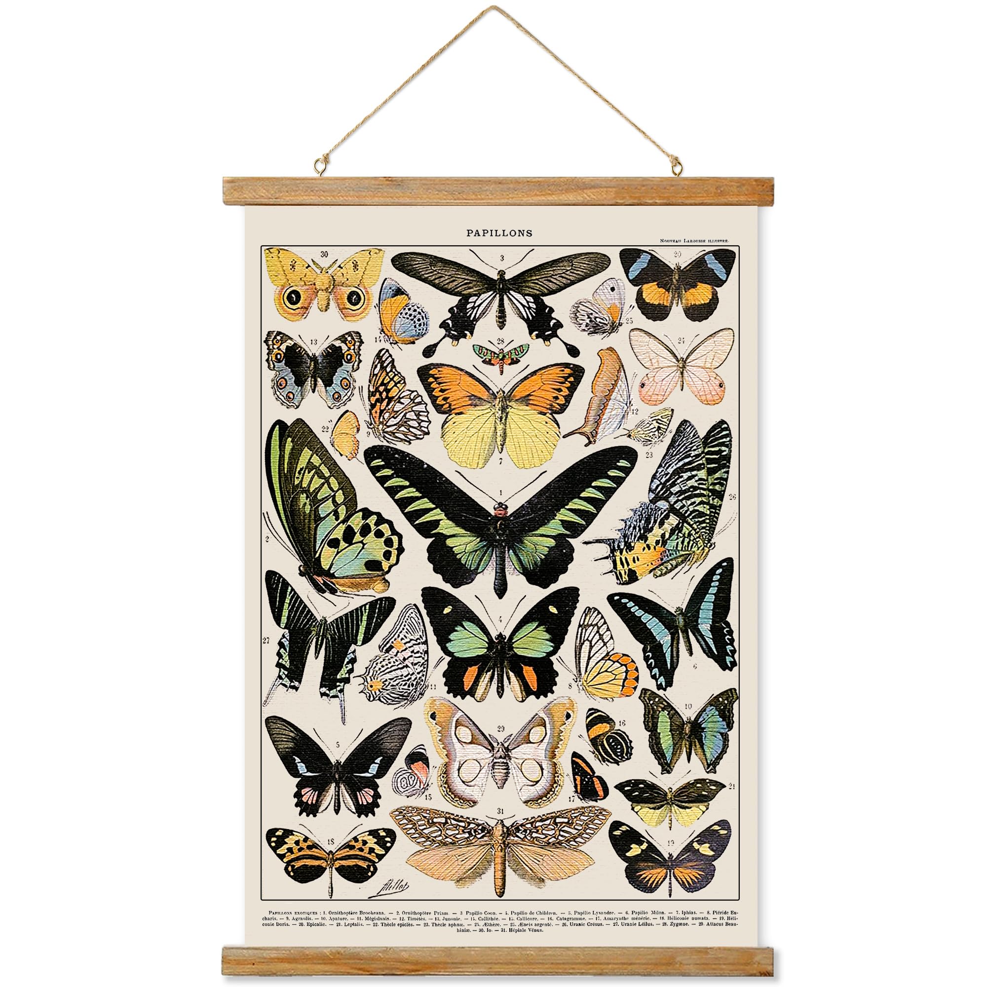 Ovfovy Vintage Butterfly Poster Hanger Frame, Retro Style Of Wall Art Prints, Printed On Linen With Natural Wooden Frames, Illus