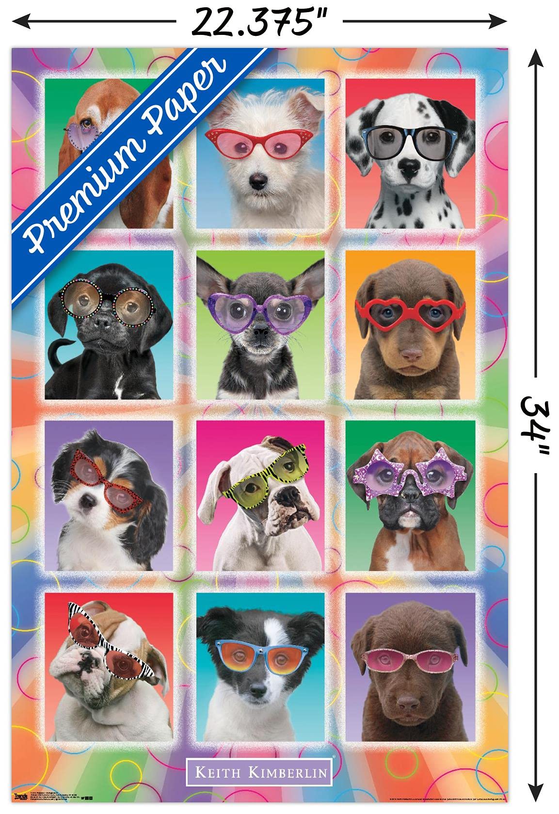 Trends International Keith Kimberlin - Puppies - Sunglasses Wall Poster, 22.375'' X 34'', Premium Poster & Mount Bundle