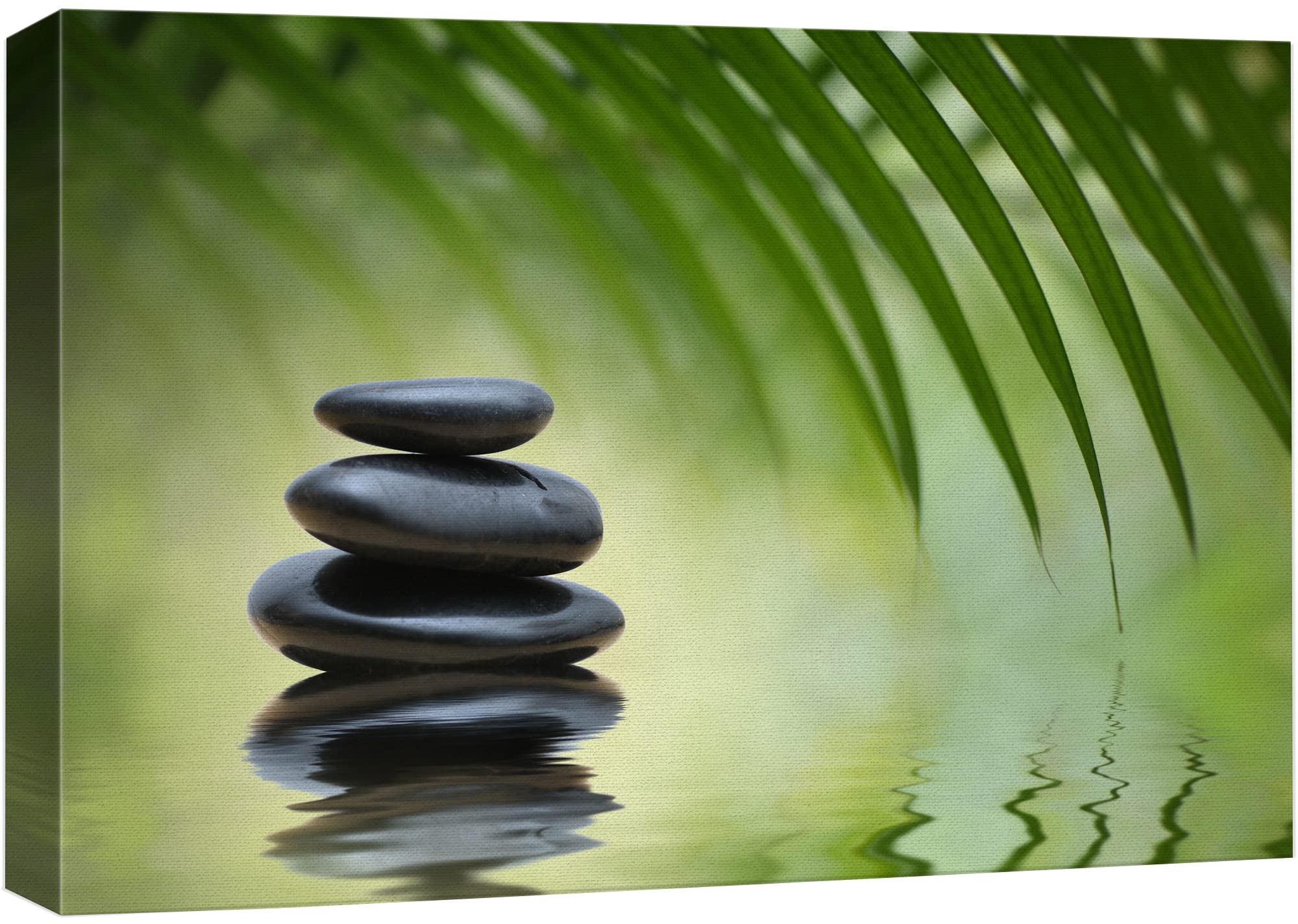 Wall26 Canvas Print Wall Art Black Rocks On Seren Green Tropical Lake Floral Nature Photography Realism Bohemian Scenic Relax/Ca