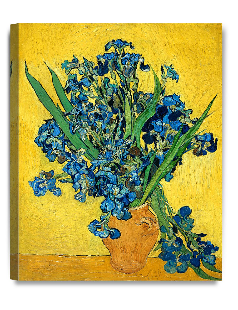 Decorarts - Irises Vase Flower, Vincent Van Gogh Art Reproduction. Giclee Canvas Prints Wall Art For Home Decor 16X20, Depth 1.5