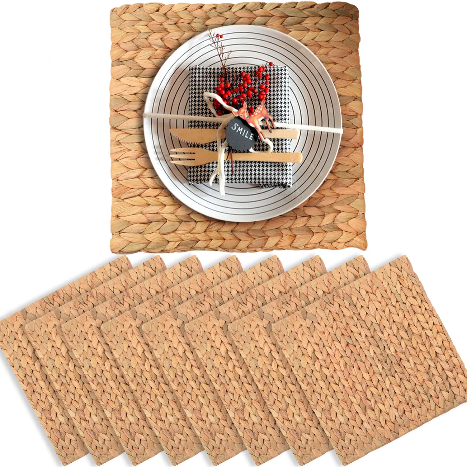 Square Placemats Set Of 10, Table Mats Set Of 10, Chargers For Dinner Plates, Place Mats Indoor Set Of 10, Square Woven Placemat