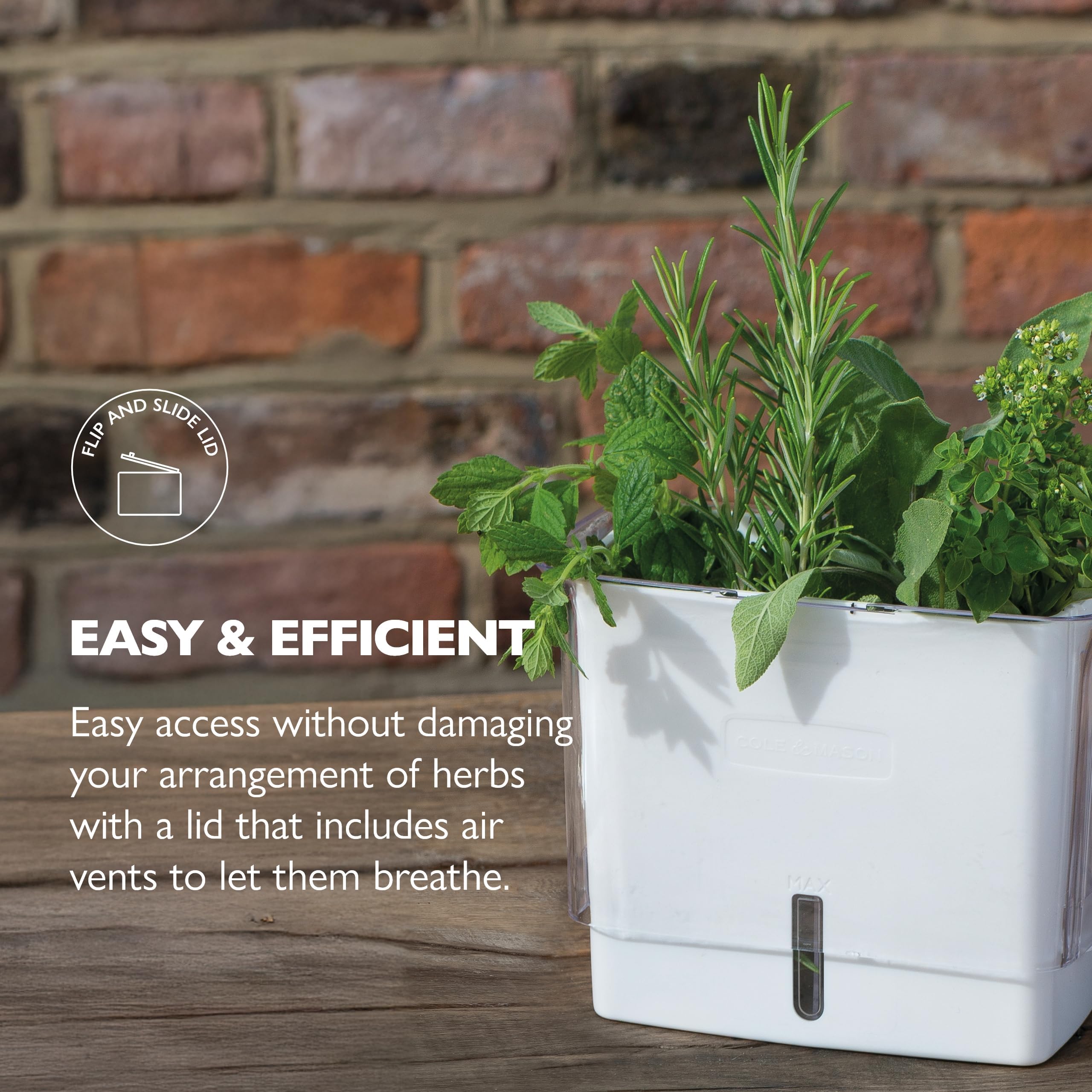 Cole & Mason Fresh Herb Keeper, Container, Clear