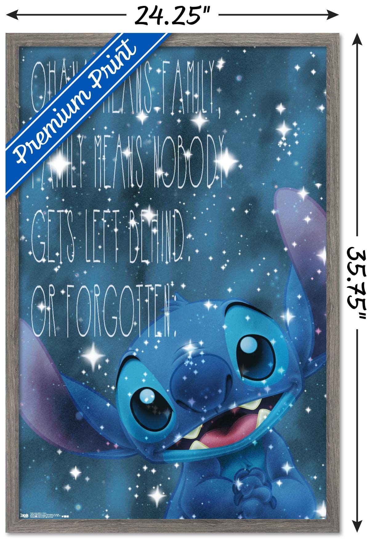 Trends International Disney Lilo And Stitch - Ohana Wall Poster, 22.375'' X 34'', Barnwood Framed Version