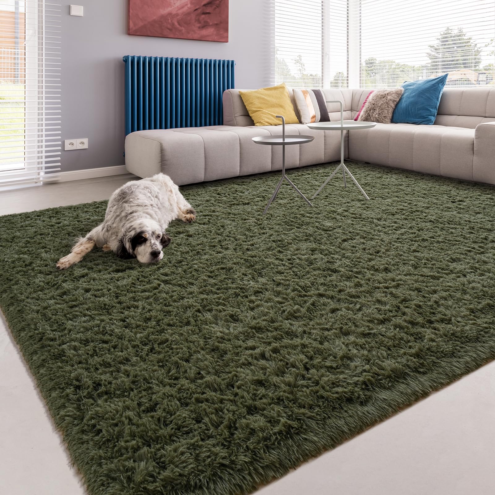 Softlife Rug for Living Room 5.3x7.6 Feet Area Rug for Bedroom Super Soft Shaggy Rugs for Kids Room Fluffy Fuzzy Carpets Long Pl