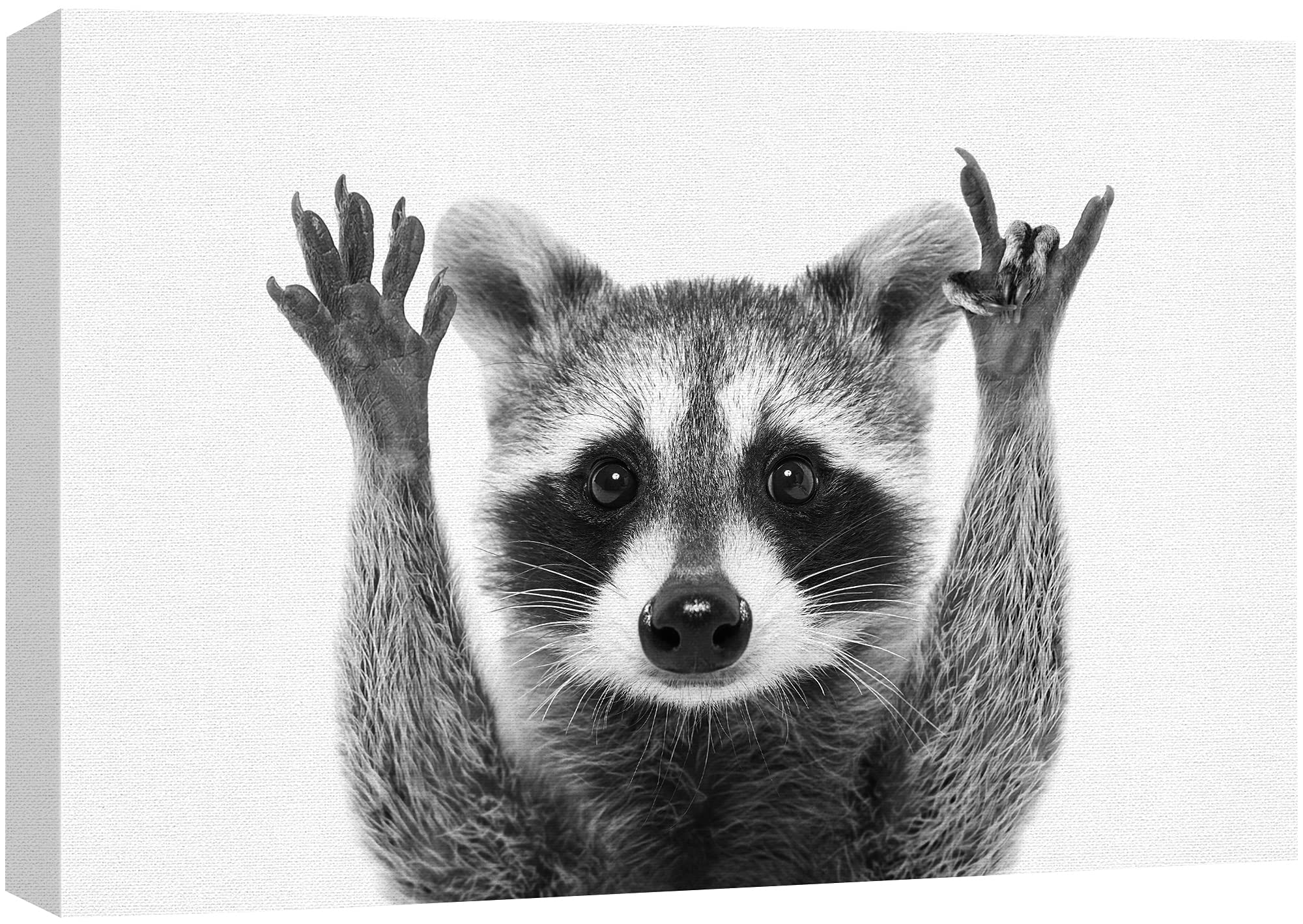 Signford Canvas Print Wall Art Raccoon Closeup Portrait Animals Wildlife Photography Realism Decorative Elements Relax/Calm Grey