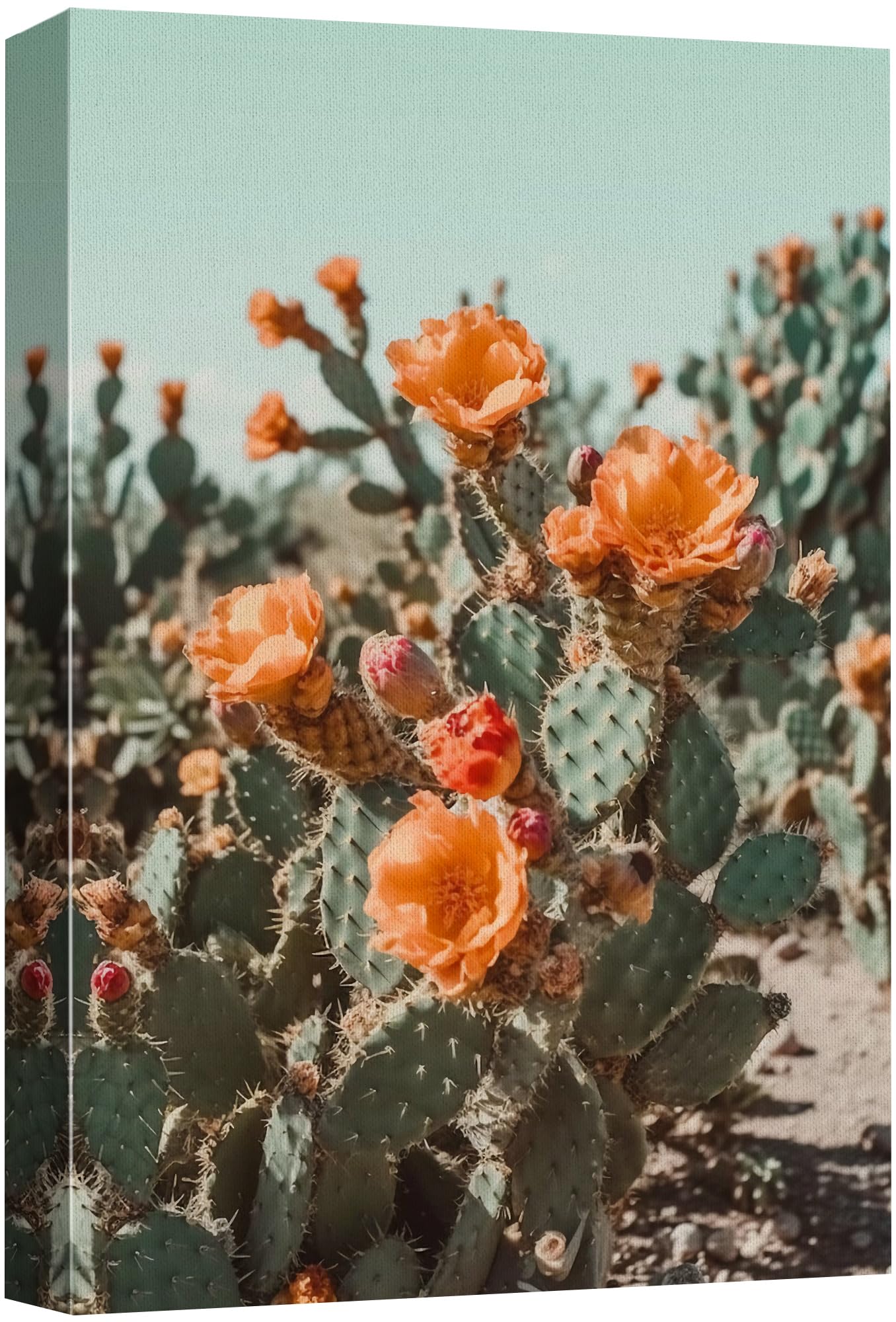 Wall26 Canvas Print Wall Art Blooming Saguaro Cactus Nature Wilderness Photography Realism Floral Botanical Southwest Rustic Cou