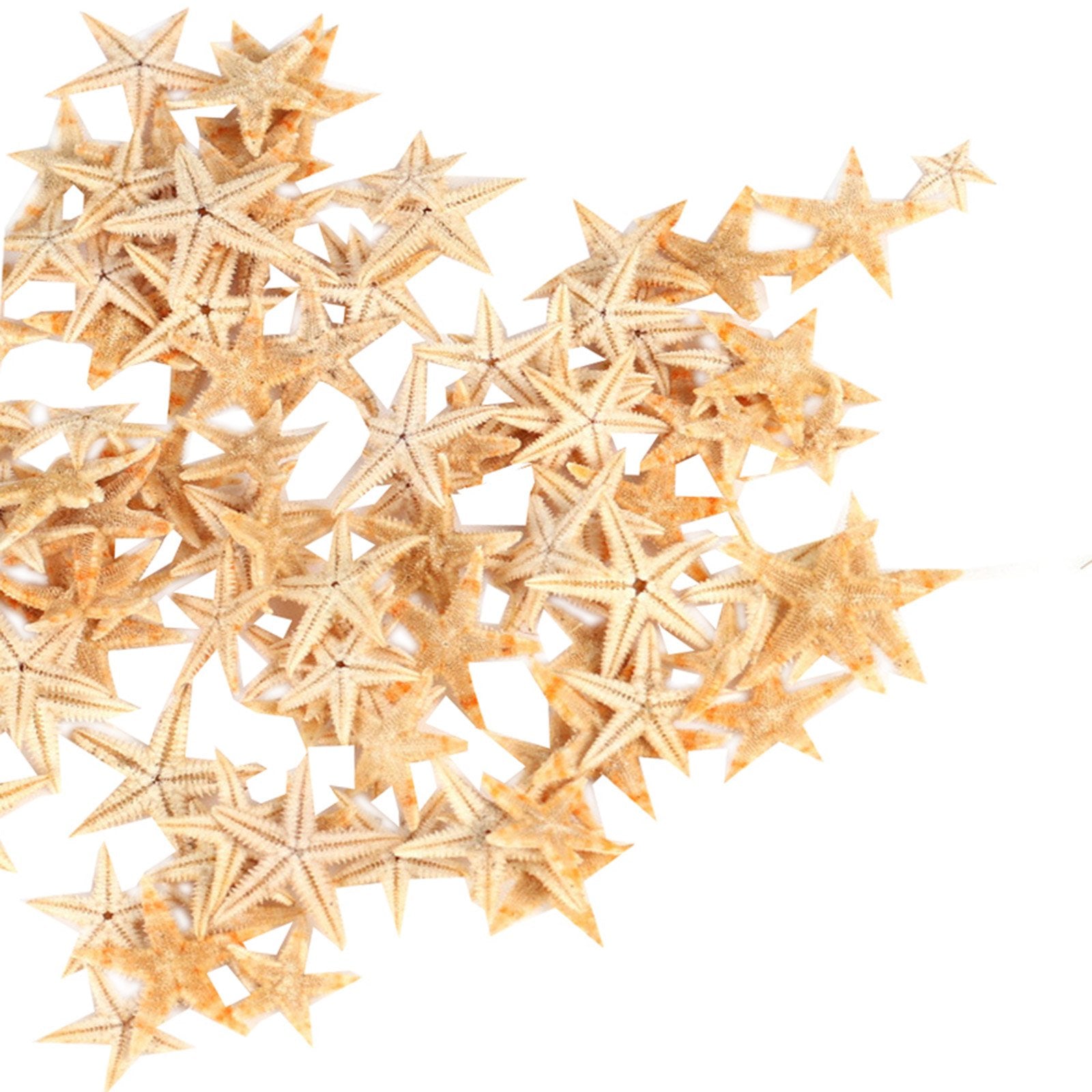Ogrmar Small Starfish Star Sea Shell Beach Craft 0.4-1.2 90 Pcs