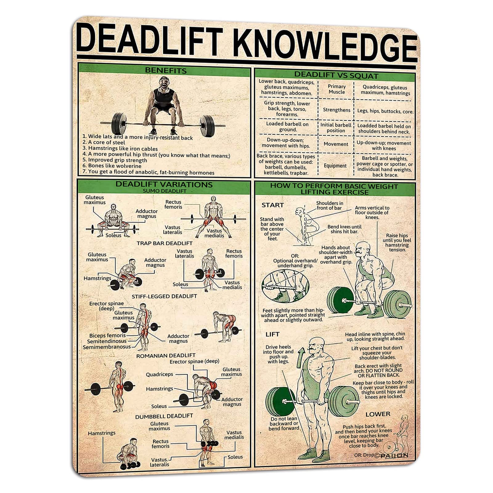 Paiion Deadlift Knowledge Metal Tin Signs Fitness Basics Infographic Posters Gym Wall Decor Home Room Clubes 16X12 Inch
