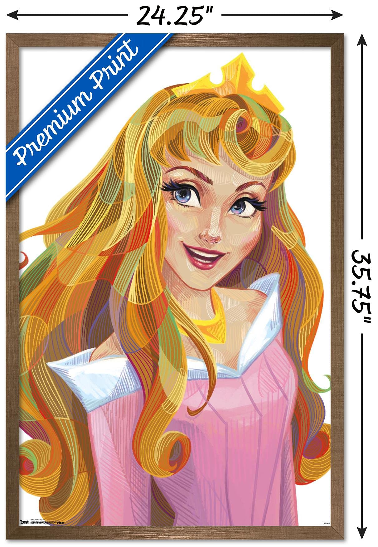 Trends International Disney Sleeping Beauty - Aurora - Stylized Wall Poster, 22.375'' X 34'', Bronze Framed Version