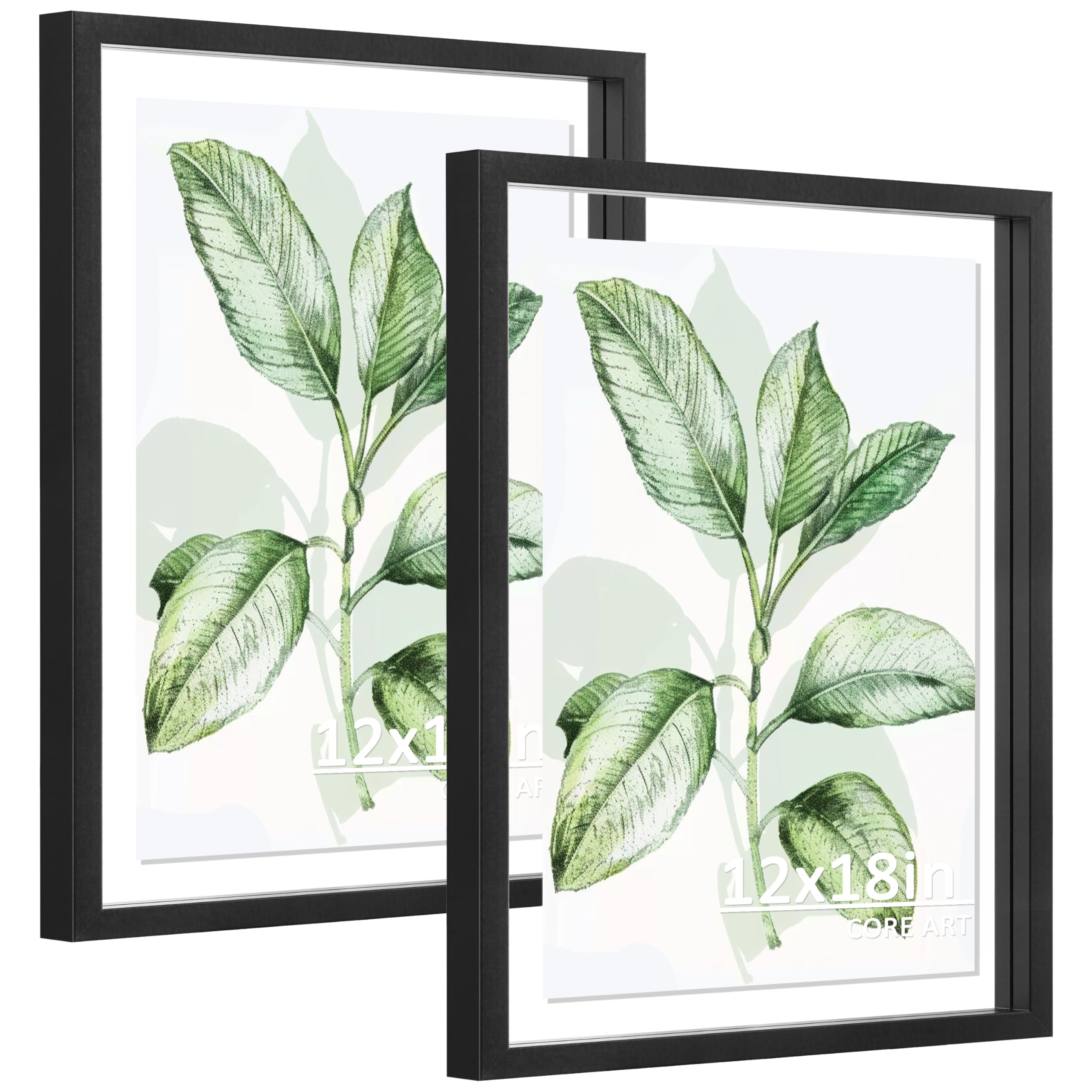 CORE ART 12x18 Floating Picture Frame Set of 2,Double Plexglass Floating Frame for 11x17,9x15,8x10 Pictures,Wall or Tabletop Dis