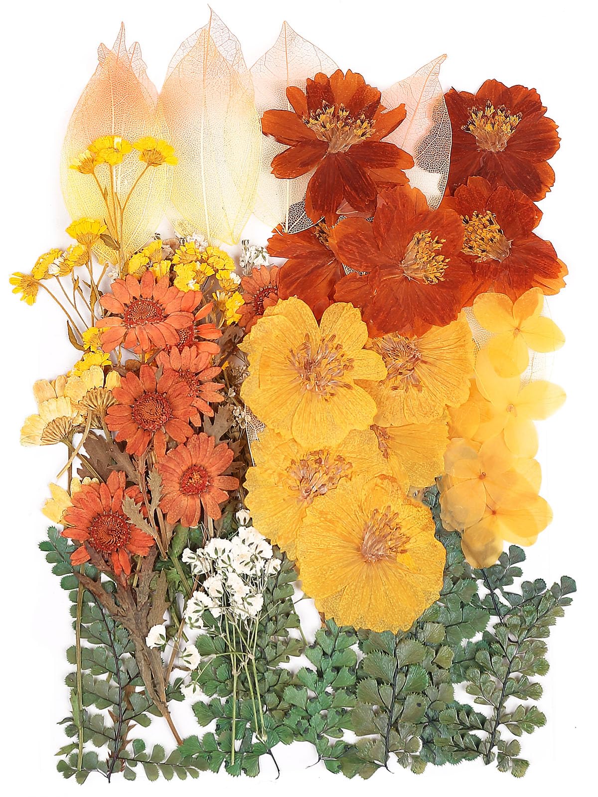 100 Pcs Real Dried Pressed Flowers Leaves Natural Plant Herbarium For Diy Resin Mold Jewelry Making Craft (20 Styles)-Fall Yello