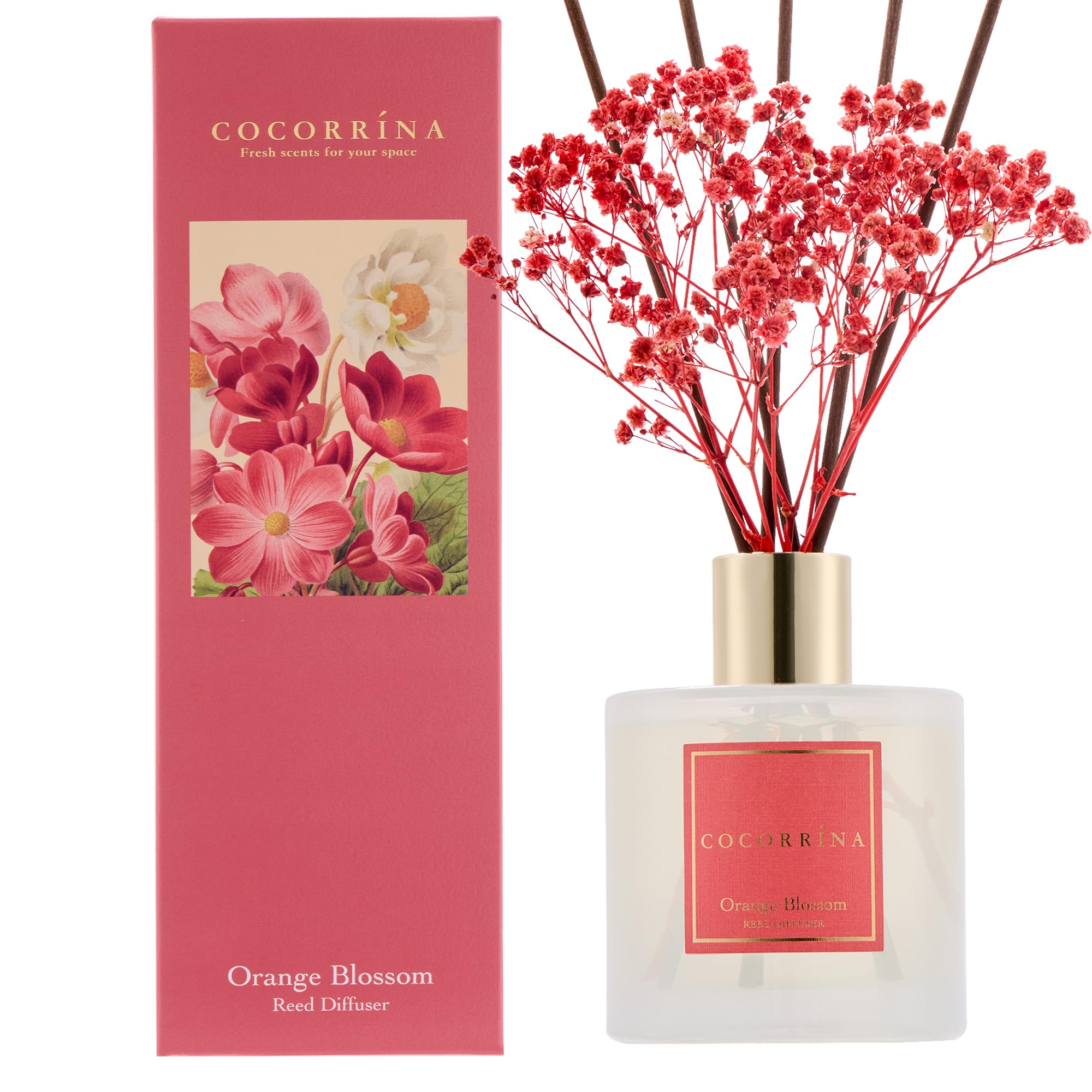 COCORR  NA Reed Diffuser - Orange Blossom 6.76 Fl.oz Reed Diffuser Sets with Preserved Flowers, Diffuser with 8 Sticks for Bathr