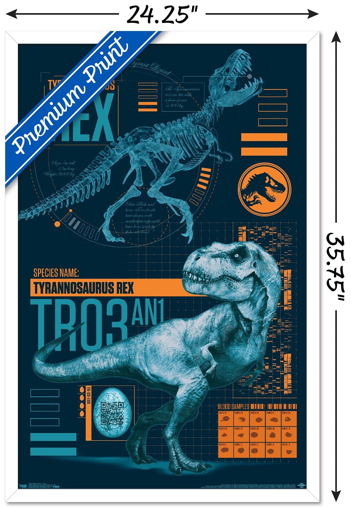 Trends International Jurassic World: Fallen Kingdom - T-Rex Wall Poster, 22.375'' X 34'', White Framed Version