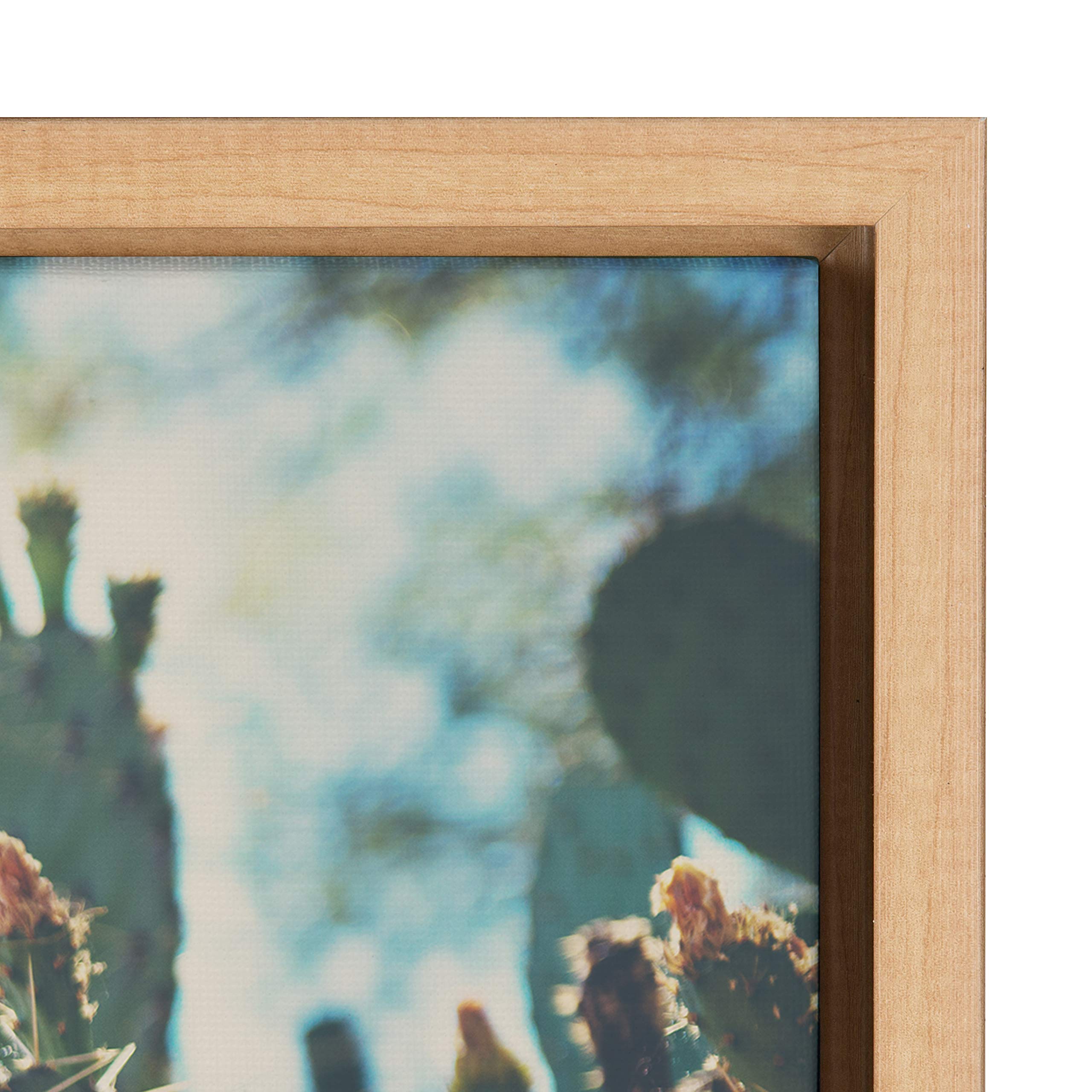 Kate And Laurel Sylvie A Desert Prickly Pear Framed Canvas Wall Art By Laura Evans, 23X33 Natural, Beautiful Southwest Wall Deco
