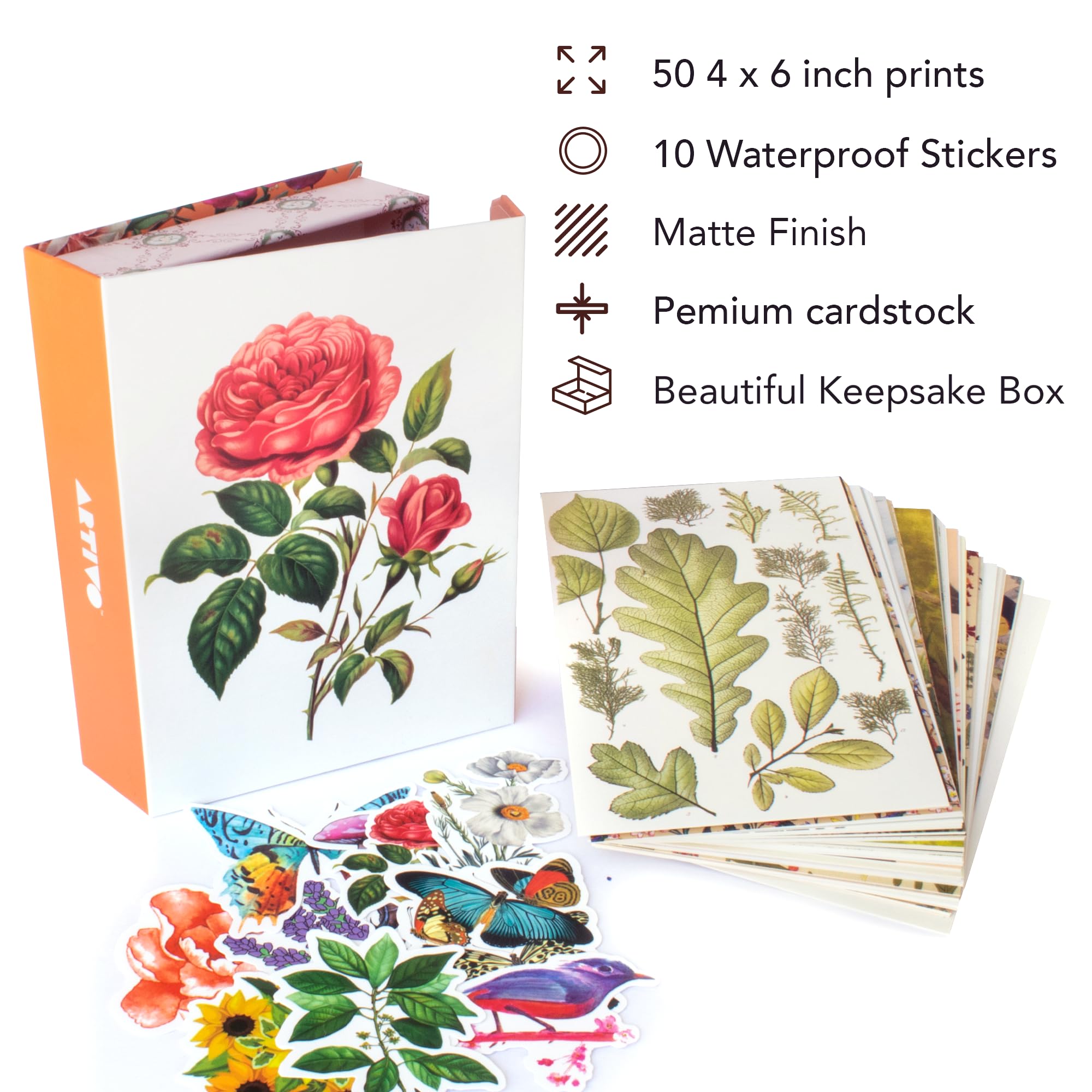 Artivo Vintage Wall Collage Kit, Botanical Art Prints, 50 Set, 4x6 inch, Cardstock Decor for Bedroom