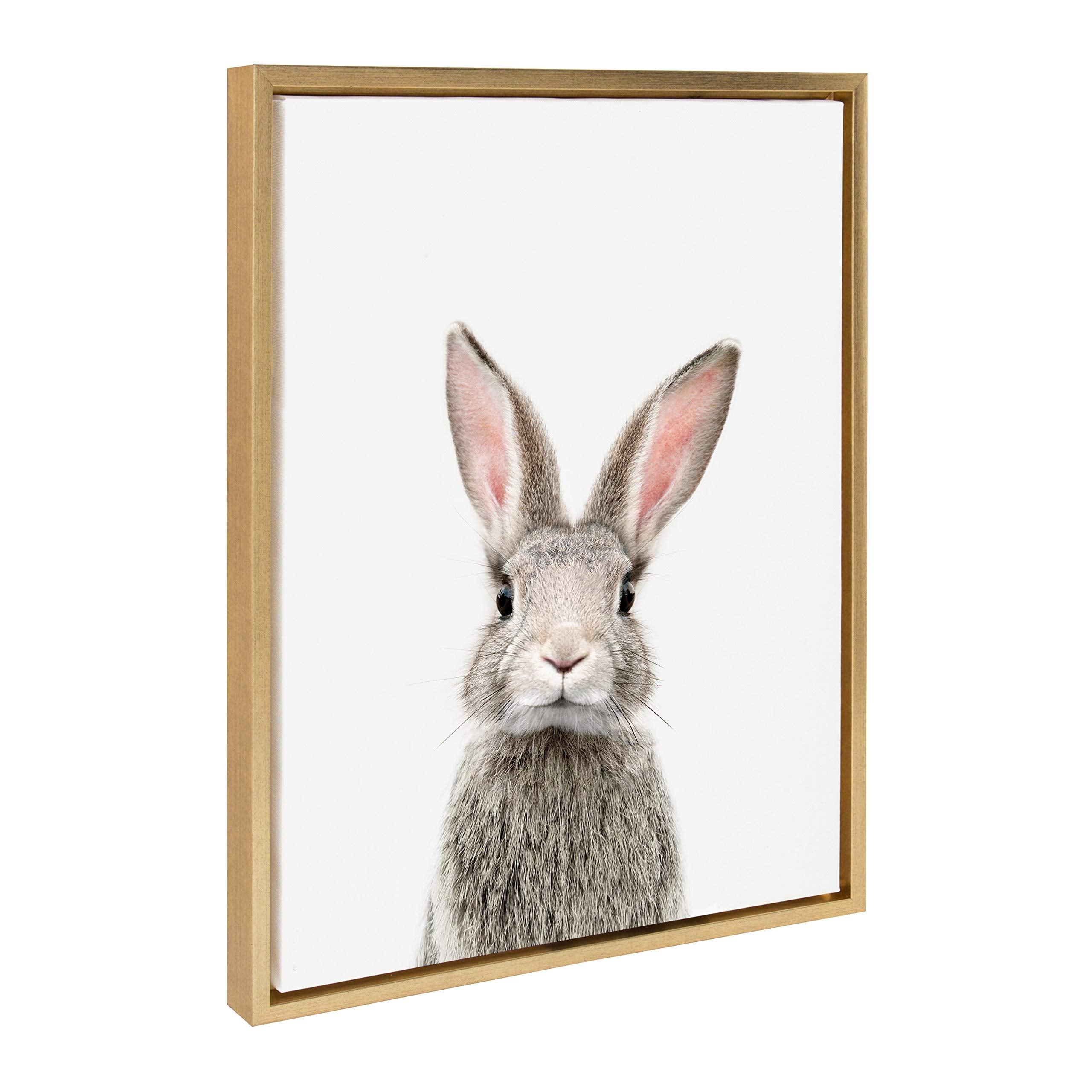 Kate And Laurel Sylvie Female Rabbit Framed Canvas Wall Art By Amy Peterson, 18X24 Gold, Baby Animal Home Decor