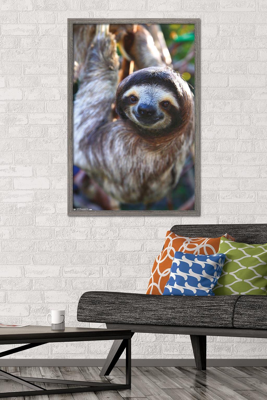 Trends International Sloth - Smile Wall Poster, 22.375'' X 34'', Barnwood Framed Version