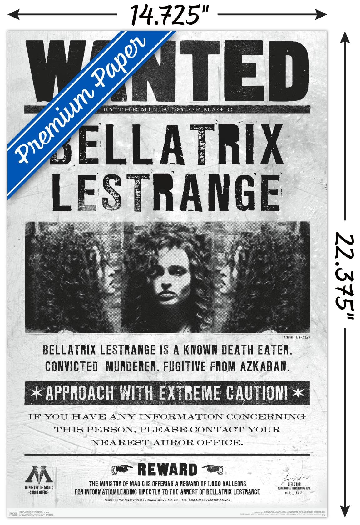 Trends International Harry Potter Bellatrix Wanted Poster, 14.725" x 22.375", Premium Unframed Version, Paper Material