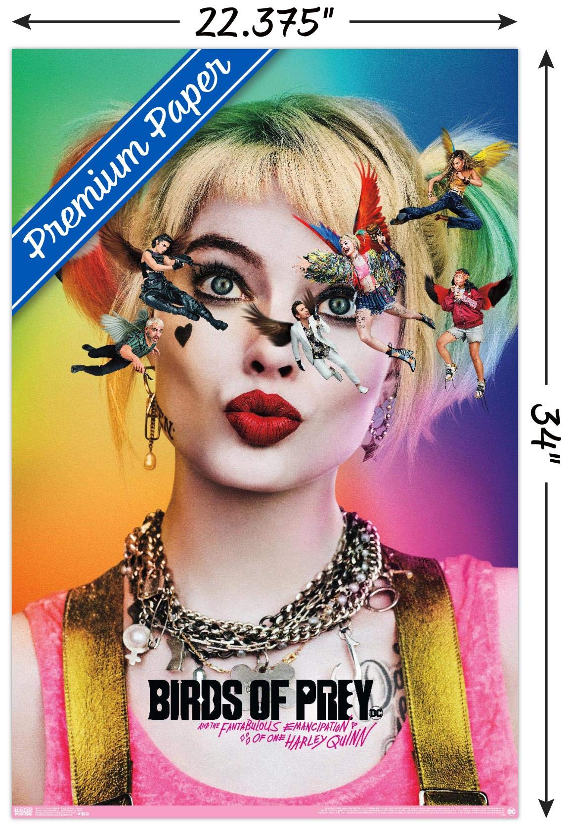 Trends International Dc Comics Movie - Birds Of Prey - Teaser Wall Poster, 22.375'' X 34'', Premium Unframed Version