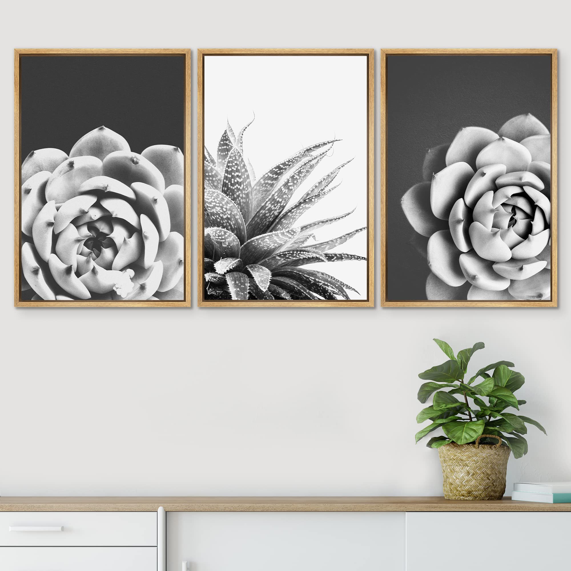 Signwin Framed Wall Art Print Set Echeveria & Haworthia Succulent Set Nature Plants Photography Modern Art Closeup Zen Black And