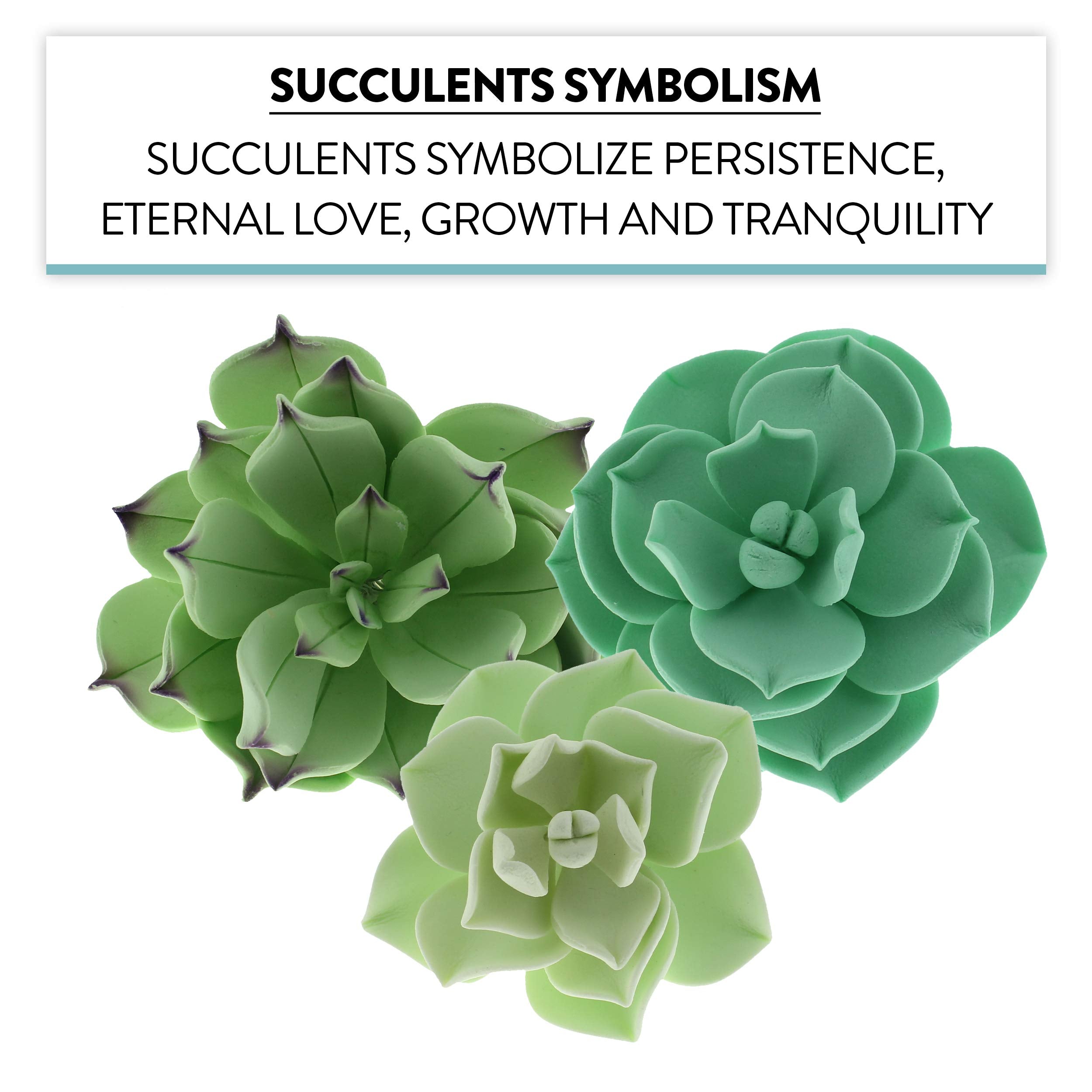 Global Sugar Art Succulents Sugar Cake Flowers, Set Of 3 By Chef Alan Tetreault