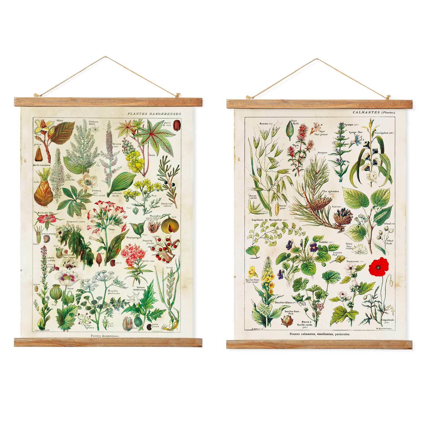 2 Pack Vintage Botanical Plant Poster Hanger Frame, Retro Style Wall Art Prints, Printed On Linen With Natural Wooden Frames, Fo