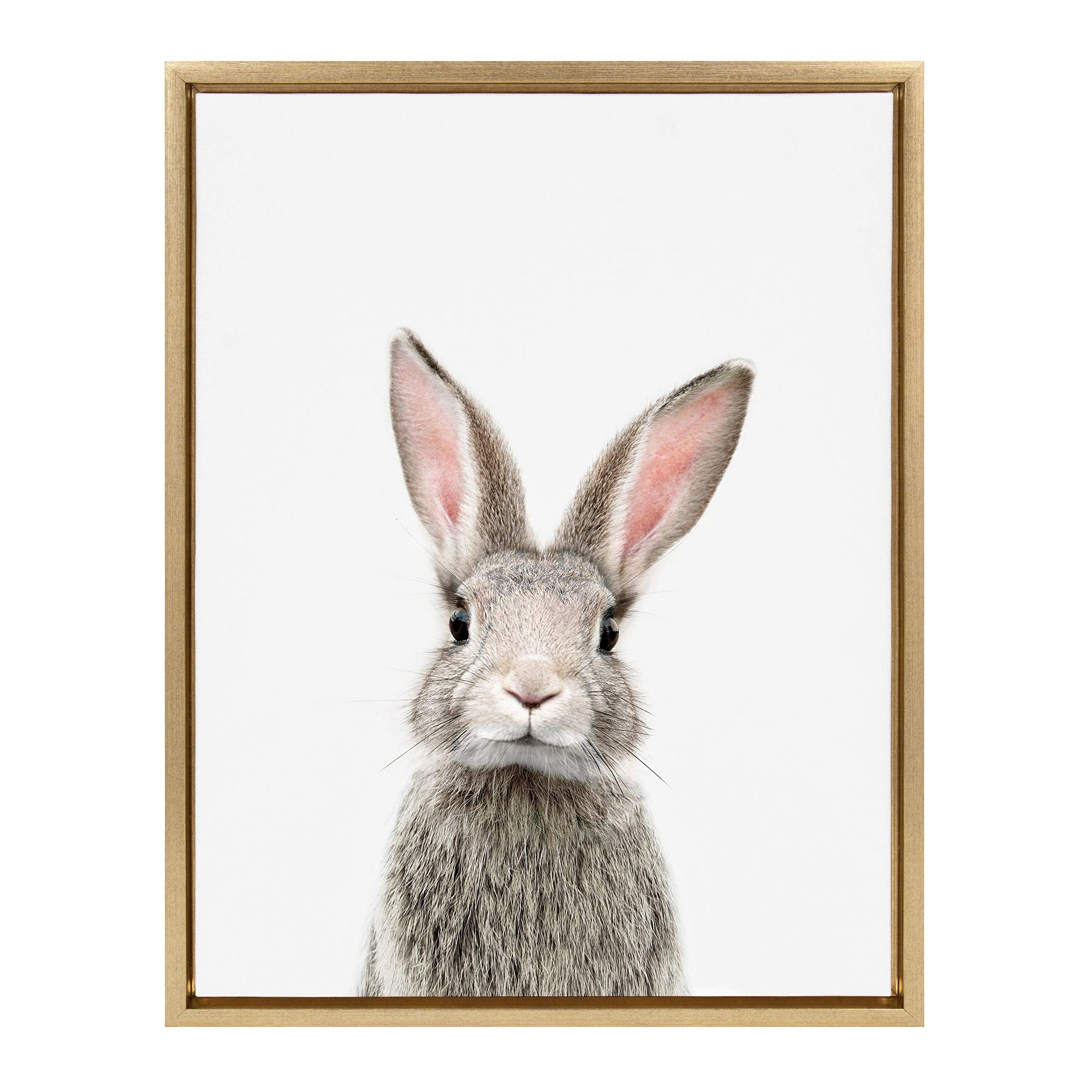 Kate And Laurel Sylvie Female Rabbit Framed Canvas Wall Art By Amy Peterson, 18X24 Gold, Baby Animal Home Decor
