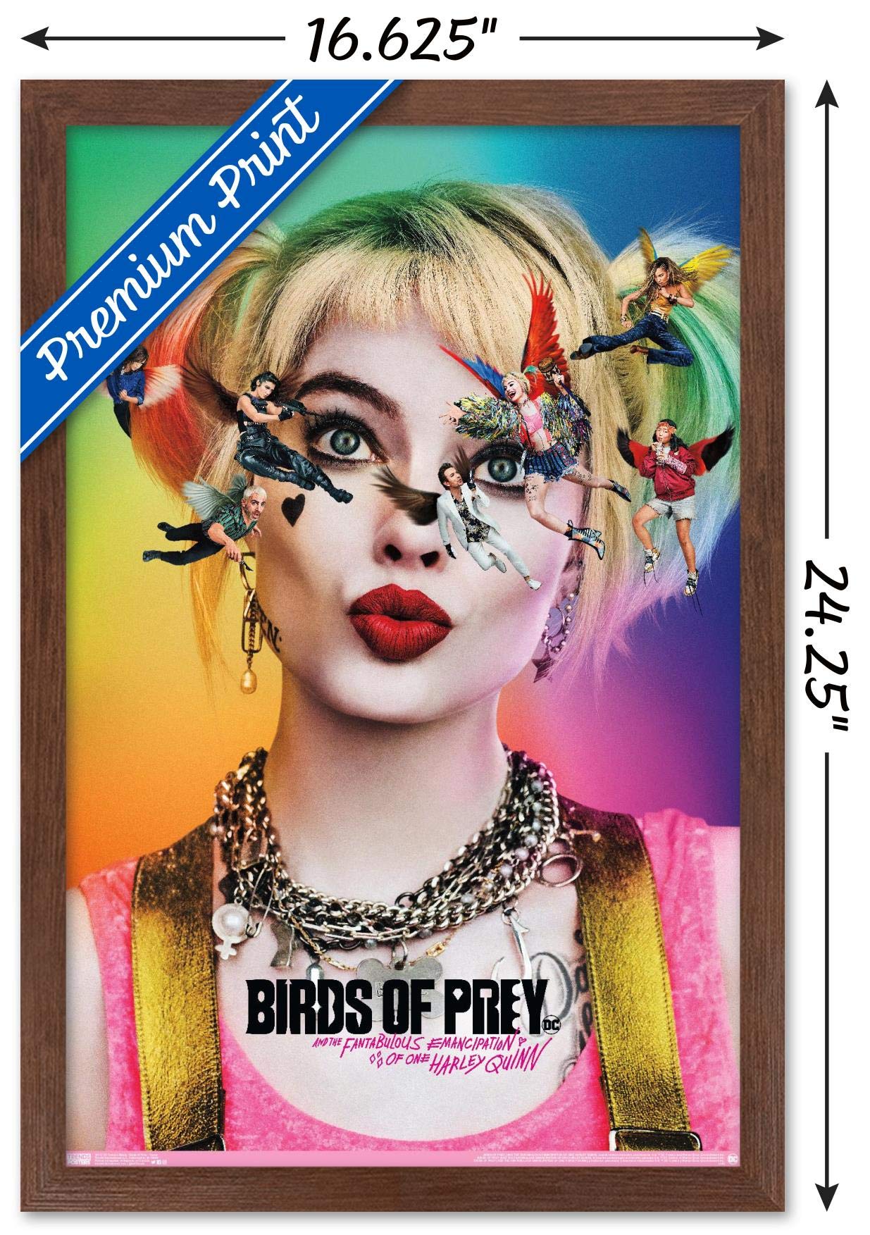 Trends International Dc Comics Movie - Birds Of Prey - Teaser Wall Poster, 14.725'' X 22.375'', Mahogany Framed Version
