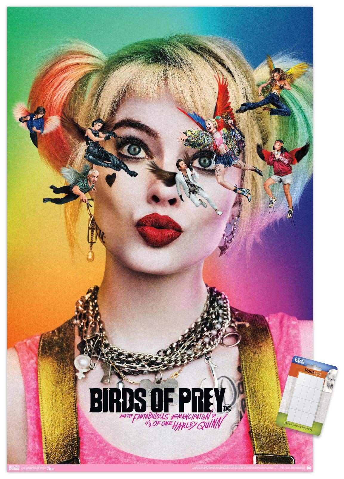 Trends International Dc Comics Movie - Birds Of Prey - Teaser Wall Poster, 22.375'' X 34'', Poster & Mount Bundle