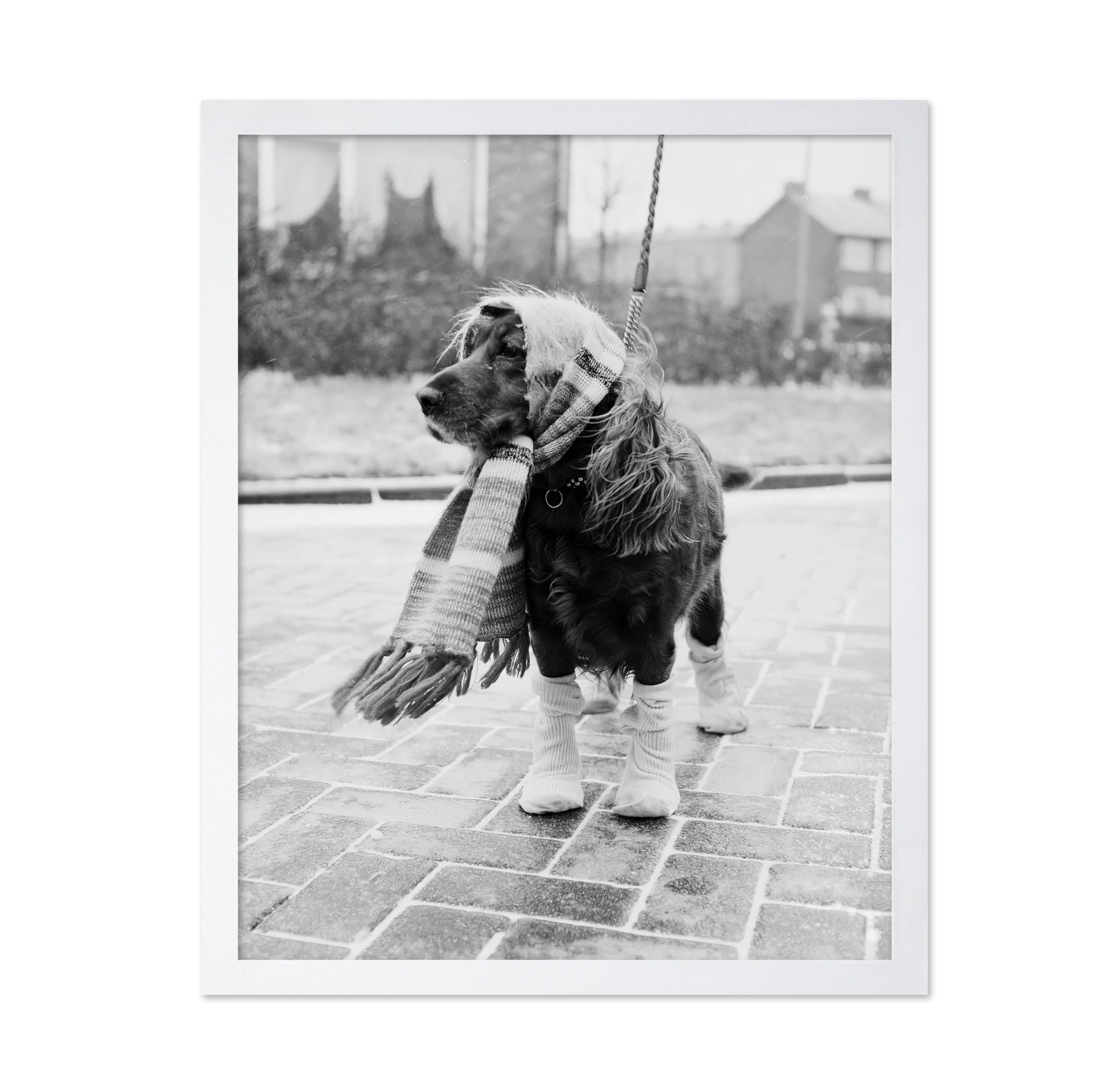 Poster Master Vintage Dog Poster - Retro Dog Dressed for Winter Print - Dog Fashion Art - Photography Art - Funny Gift for Him, 