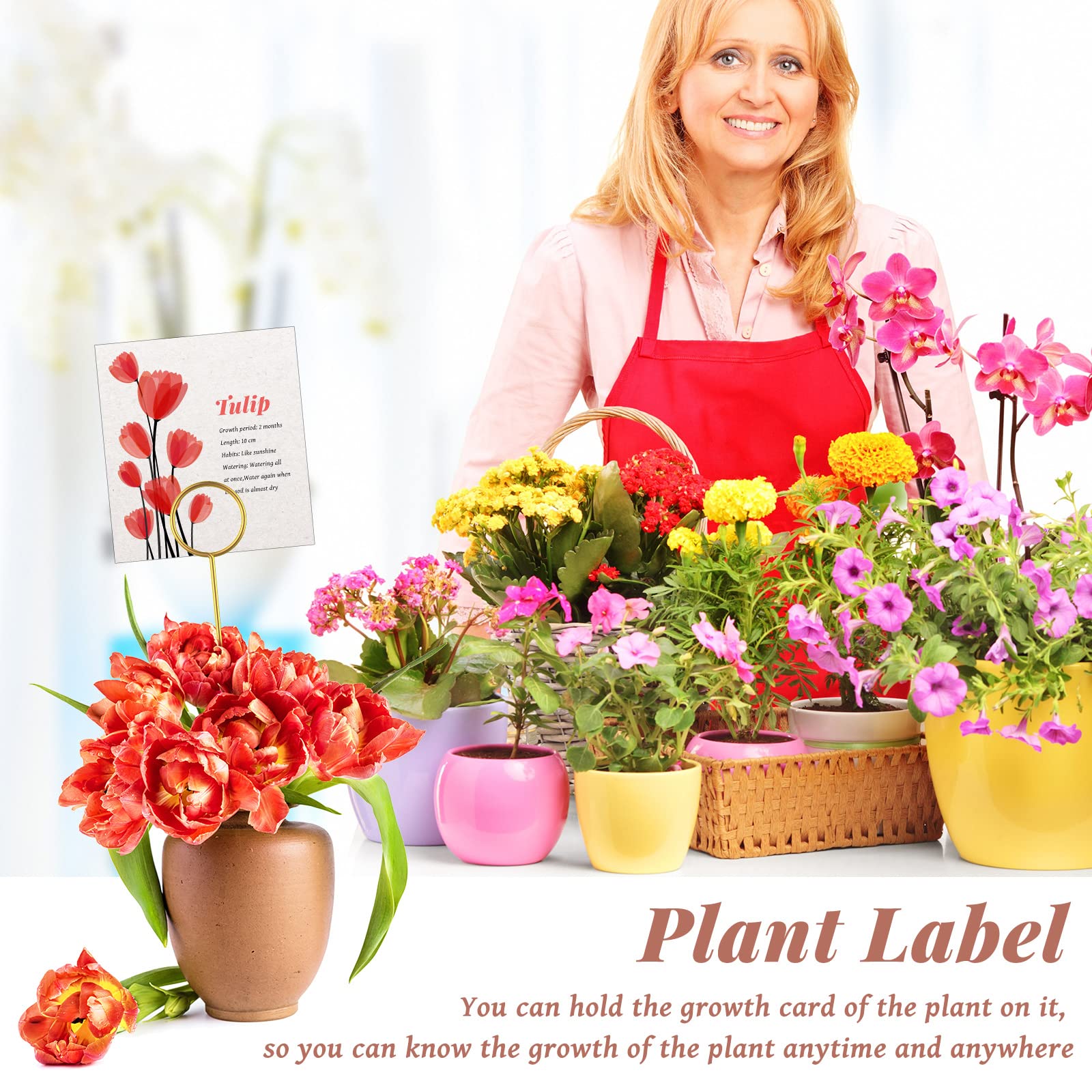 60 Pcs Metal Wire Floral Place Card Holder 11.81 Inches Round Gold Photo Clip Floral Card Holder Picks Flower Ring Loop Card Hol