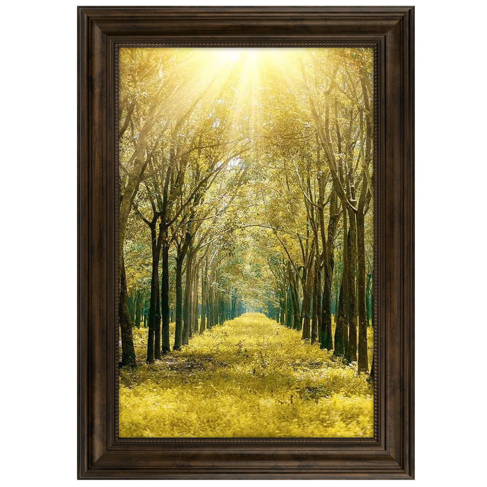 Space Art Deco,12x18 Picture Frame for 12 x 18 Photo,Real Glass Sawtooth Hangers Wall Mount Display(Color Brown)