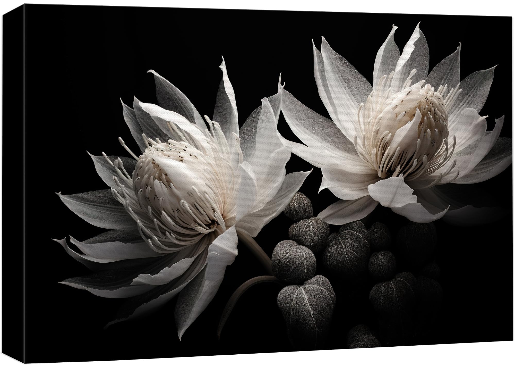 Wall26 Canvas Print Wall Art White Amaryllis Flower Nature Wilderness Photography Realism Modern Art Decorative Country Multicol