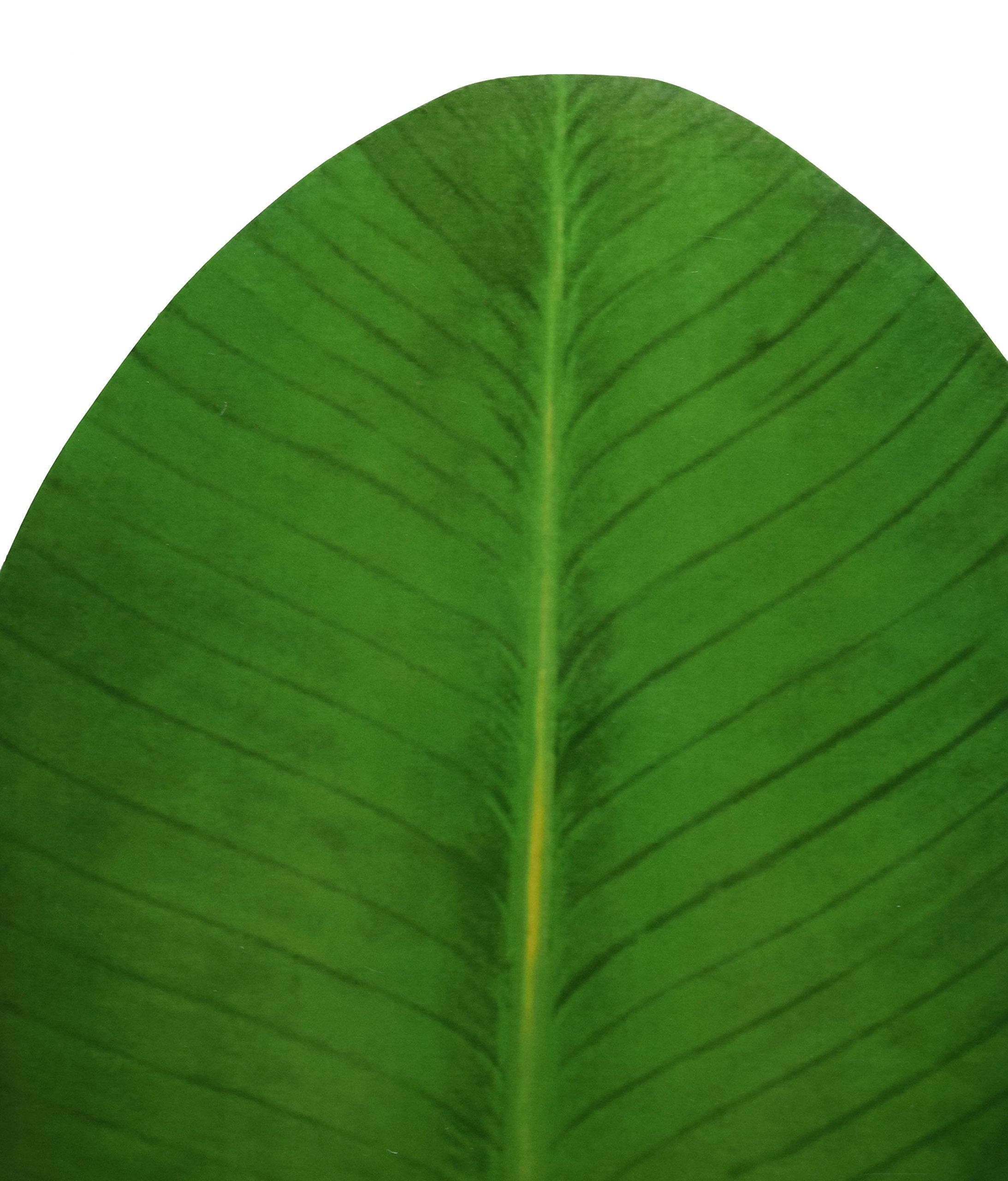Cilexy Exquisite Laminated Paper Sheets Banana Leaf Shape Table Placement/Dinning Mat Set Of 4 Pcs/Diwali/Christmas