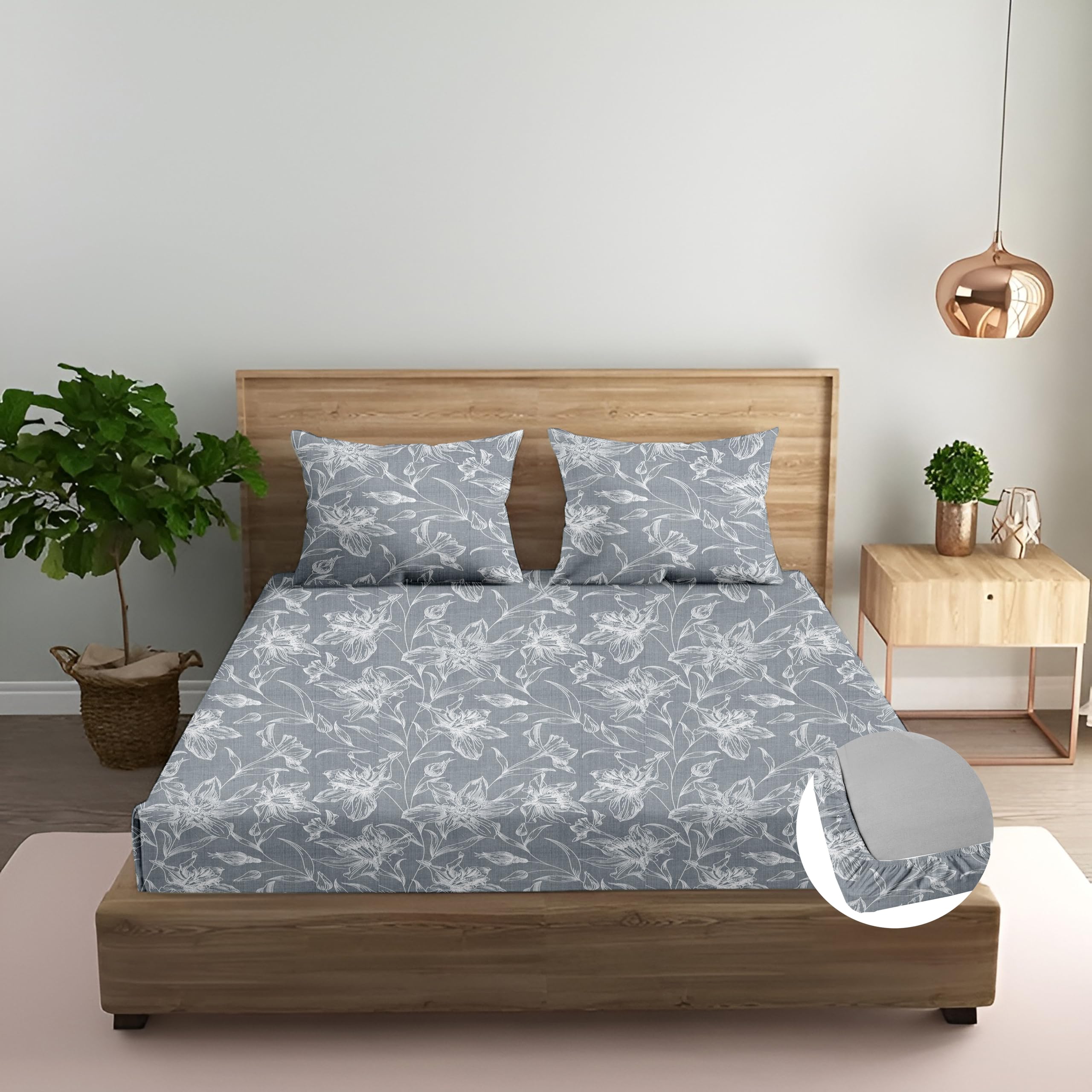 Trance Home Linen 100% Cotton 144TC Elastic Fitted Bedsheet | Printed Twin Size Bed Elasticate Fitted Bedspread with 2 Pillow Co