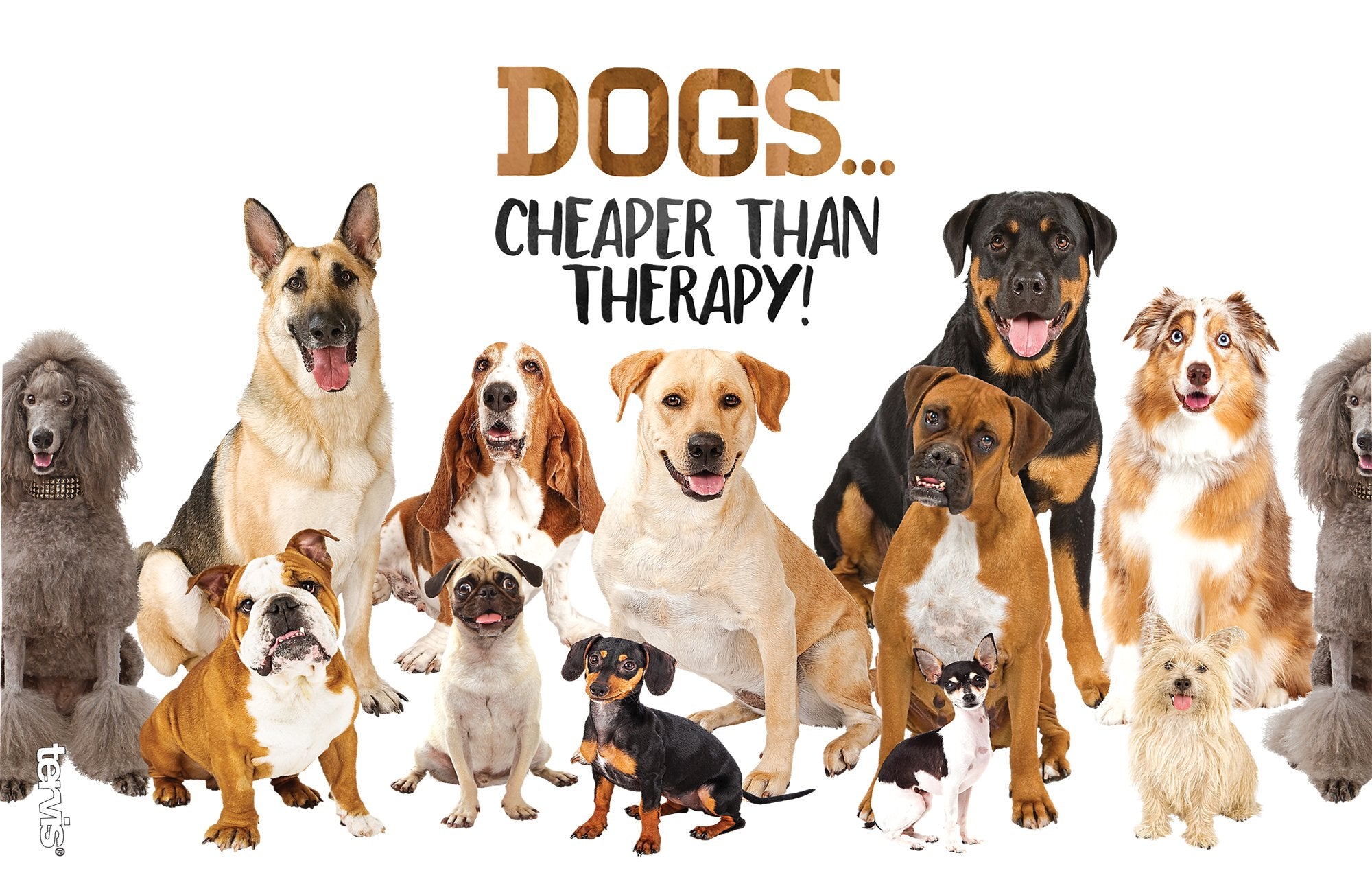 Tervis Plastic Dog Therapy Tumbler With Wrap And Brown Lid 16Oz, Clear