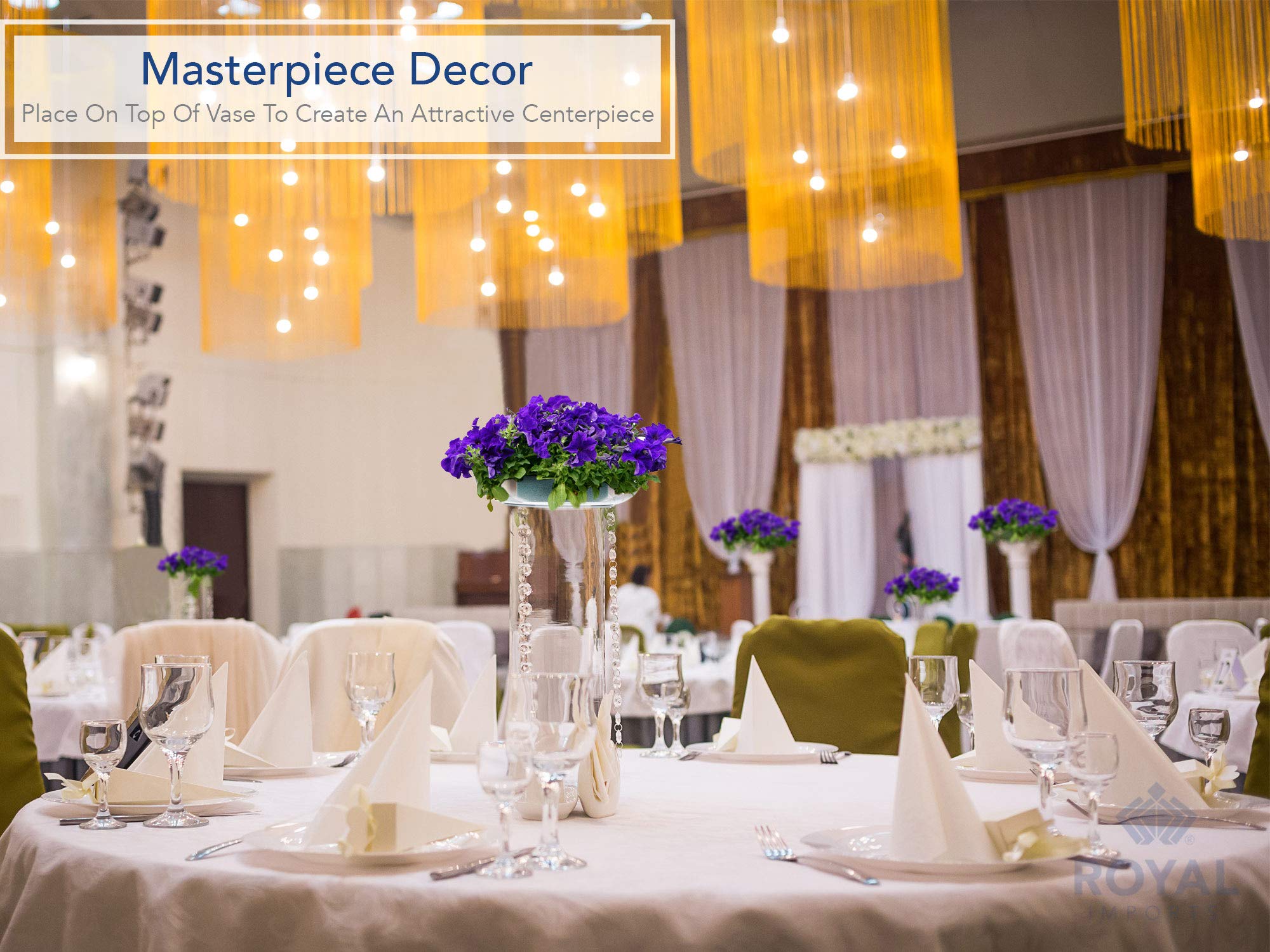 Royal Imports 9'' Clear Plastic Saucer Plant Drip Tray, Low Pie Plate, Floral Flower Dish, Wedding, Party, Home And Holiday Deco