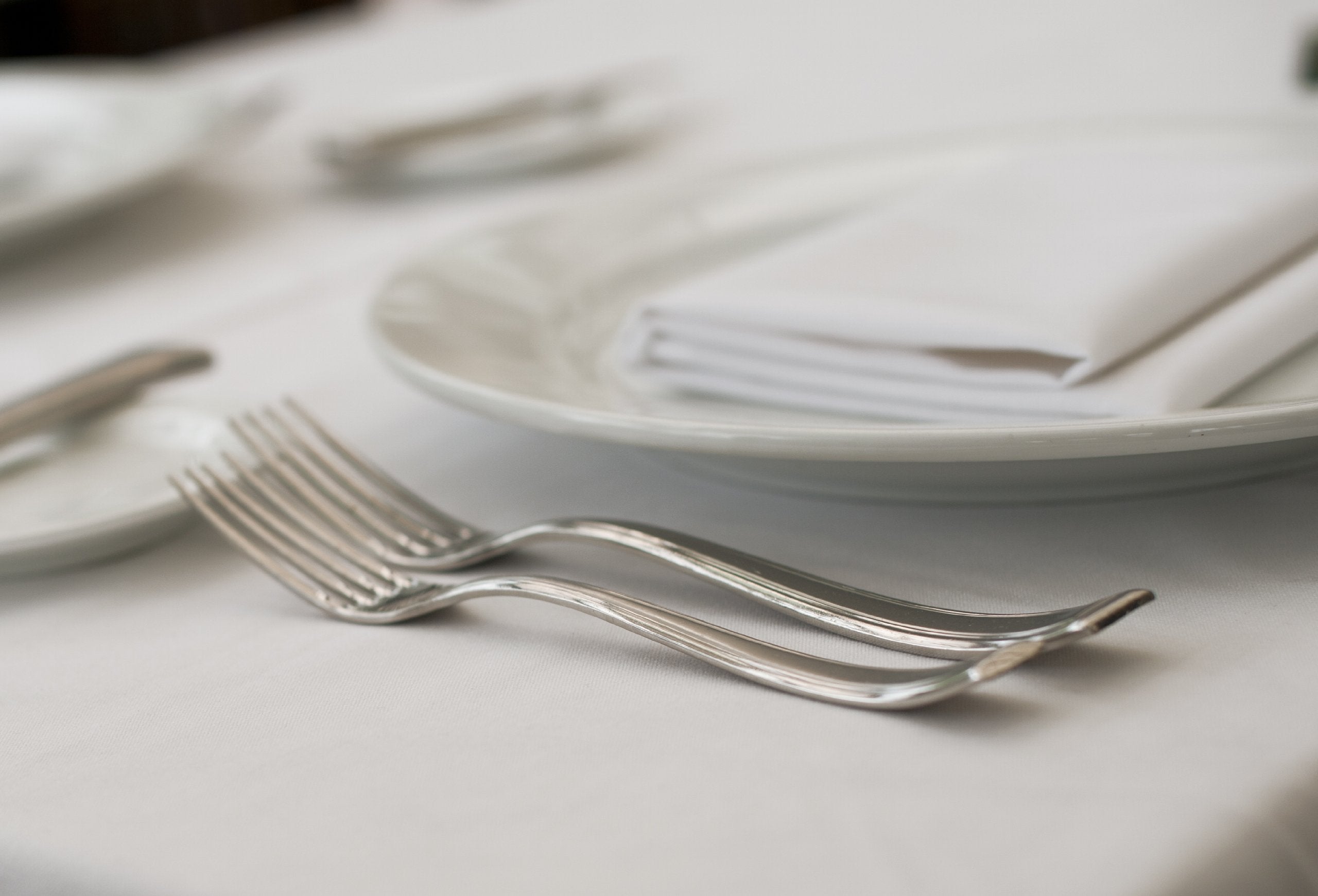Fortessa Pantheon 18/10 Stainless Steel Flatware Table Fork, Set Of 12, Silver
